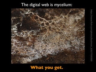 h"ps://www.ﬂickr.com/photos/bushman_k/6177595969
What you get.
The digital web is mycelium:
 