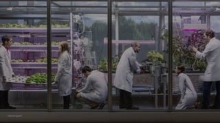 VOS_ vários olhares singulares
Gabriela Agustini
VOS_ vários olhares singulares 61
Gabriela Agustini
 