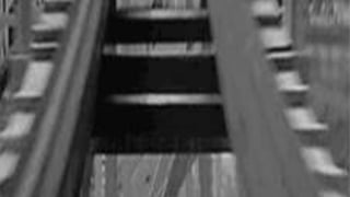 VOS_ vários olhares singulares
Gabriela Agustini
VOS_ vários olhares singulares 63
Gabriela Agustini
 