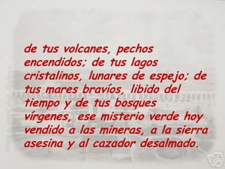 de tus volcanes, pechos encendidos; de tus lagos cristalinos, lunares de espejo; de tus mares bravíos, libido del tiempo y de tus bosques vírgenes, ese misterio verde hoy vendido a las mineras, a la sierra asesina y al cazador desalmado.