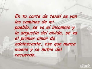 En tu corte de texel se van los caminos de mi pueblo, se va el insomnio y la angustia del olvido, se va el primer amor de adolescente, ese que nunca muere y se nutre del recuerdo.