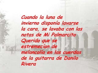 Cuando la luna de invierno disponía lavarse la cara, se lavaba con las notas de Mi Palmarcito Querido que se estremecían de melancolía en las cuerdas de la guitarra de Danilo Rivera 