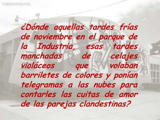 ¿Dónde aquellas tardes frías de noviembre en el parque de la Industria, esas tardes manchadas de celajes violáceos que volaban barriletes de colores y ponían telegramas a las nubes para contarles las cuitas de amor de las parejas clandestinas?
