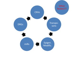 CNVs
Transpo-
sons
Epigen.
Modific.
miRs
DRGs
Other
factors??
 