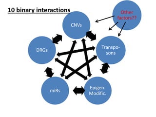 CNVs
Transpo-
sons
Epigen.
Modific.
miRs
DRGs
Other
factors??
10 binary interactions
 