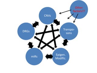 CNVs
Transpo-
sons
Epigen.
Modific.
miRs
DRGs
Other
factors??
 