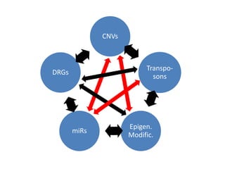 CNVs
Transpo-
sons
Epigen.
Modific.
miRs
DRGs
 