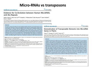 Micro-RNAs vs transposons
 