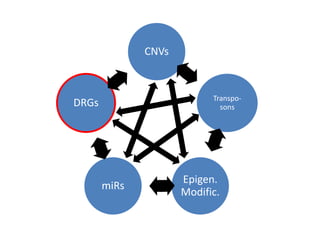 CNVs
Transpo-
sons
Epigen.
Modific.
miRs
DRGs
 