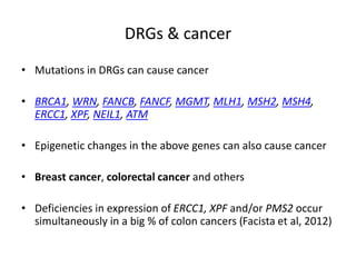 DRGs & cancer
• Mutations in DRGs can cause cancer
• BRCA1, WRN, FANCB, FANCF, MGMT, MLH1, MSH2, MSH4,
ERCC1, XPF, NEIL1, ATM
• Epigenetic changes in the above genes can also cause cancer
• Breast cancer, colorectal cancer and others
• Deficiencies in expression of ERCC1, XPF and/or PMS2 occur
simultaneously in a big % of colon cancers (Facista et al, 2012)
 