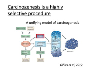 Gillies et al, 2012
A unifying model of carcinogenesis
Carcinogenesis is a highly
selective procedure
 