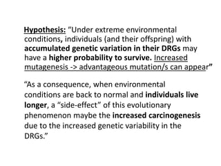 Hypothesis: “Under extreme environmental
conditions, individuals (and their offspring) with
accumulated genetic variation in their DRGs may
have a higher probability to survive. Increased
mutagenesis -> advantageous mutation/s can appear”
“As a consequence, when environmental
conditions are back to normal and individuals live
longer, a “side-effect” of this evolutionary
phenomenon maybe the increased carcinogenesis
due to the increased genetic variability in the
DRGs.”
 
