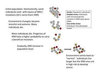 Initial population. Stochastically, some
individuals exist with excess of DRGs’
mutations (let’s name them IDM).
Environment changed, became
stressful and extreme. Many
individuals die.
More individuals die. Progenies of
IDM have a higher probability to carry
a beneficial mutation.
Gradually, IDM increase in
population level.
Environment comes back to
“normal”. Individuals live
longer but the IDM ones are
in high risk to develop
cancer.
Circles: Population individuals
Shaded circles: Individuals
with increased genetic
variation in DNA repair genes
(IDM)
Line-strike circles:
Individuals that developed
cancer
 