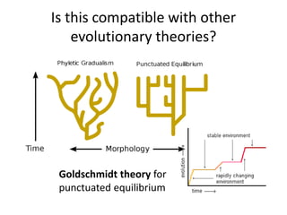 Is this compatible with other
evolutionary theories?
Goldschmidt theory for
punctuated equilibrium
 