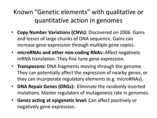 Known “Genetic elements” with qualitative or
quantitative action in genomes
• Copy Number Variations (CNVs): Discovered on 2006. Gains
and losses of large chunks of DNA sequence. Gains can
increase gene expression through multiple gene copies.
• microRNAs and other non-coding RNAs: Affect negatively
mRNA translation. They fine tune gene expression.
• Transposons: DNA fragments moving through the genome.
They can potentially affect the expression of nearby genes, or
they can incorporate regulatory elements (e.g. microRNAs).
• DNA Repair Genes (DRGs): Eliminate the randomly inserted
mutations. Master regulators of mutagenesis rate in genomes.
• Genes acting at epigenetic level: Can affect positively or
negatively gene expression.
 