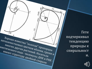 Гете
подчеркивал
тенденцию
природы к
спиральност
и.
 