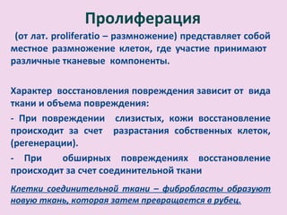 Пролиферация
(от лат. рroliferatio – размножение) представляет собой
местное размножение клеток, где участие принимают
различные тканевые компоненты.
Характер восстановления повреждения зависит от вида
ткани и объема повреждения:
- При повреждении слизистых, кожи восстановление
происходит за счет разрастания собственных клеток,
(регенерации).
- При обширных повреждениях восстановление
происходит за счет соединительной ткани
Клетки соединительной ткани – фибробласты образуют
новую ткань, которая затем превращается в рубец.
 