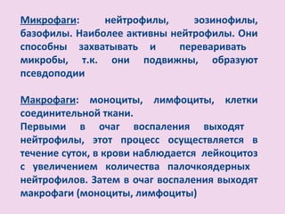 Микрофаги:     нейтрофилы,      эозинофилы,
базофилы. Наиболее активны нейтрофилы. Они
способны захватывать и       переваривать
микробы, т.к. они подвижны, образуют
псевдоподии

Макрофаги: моноциты, лимфоциты, клетки
соединительной ткани.
Первыми в очаг воспаления выходят
нейтрофилы, этот процесс осуществляется в
течение суток, в крови наблюдается лейкоцитоз
с увеличением количества палочкоядерных
нейтрофилов. Затем в очаг воспаления выходят
макрофаги (моноциты, лимфоциты)
 