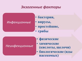 Экзогенные факторы
 