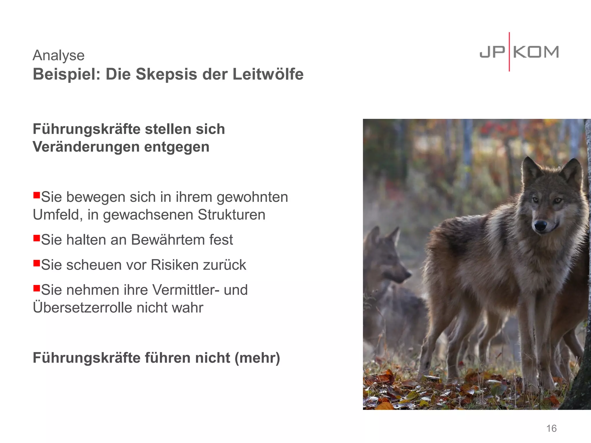 Analyse
Beispiel: Die Skepsis der Leitwölfe


Führungskräfte stellen sich
Veränderungen entgegen


Siebewegen sich in ihrem gewohnten
Umfeld, in gewachsenen Strukturen
Sie   halten an Bewährtem fest
Sie   scheuen vor Risiken zurück
Sienehmen ihre Vermittler- und
Übersetzerrolle nicht wahr


Führungskräfte führen nicht (mehr)



                                      16
 