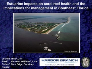Estuarine impacts on coral reef health and the
implications for management in Southeast Florida
Joshua Voss1, Jeff
Beal2, Maureen Williams1, Lisa
Cohen1, Sara Edge, Courtney
Klepac1
1 2
Photo: A. Boerner
 