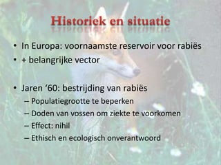 Historiek en situatieIn Europa: voornaamste reservoir voor rabiës+ belangrijke vectorJaren ‘60: bestrijding van rabiësPopulatiegrootte te beperkenDoden van vossen om ziekte te voorkomenEffect: nihilEthisch en ecologisch onverantwoord