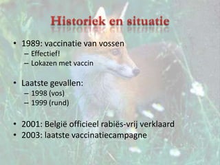 Historiek en situatie1989: vaccinatie van vossenEffectief!Lokazen met vaccinLaatste gevallen:1998 (vos)1999 (rund)2001: België officieel rabiës-vrij verklaard2003: laatste vaccinatiecampagne