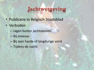 JachtwetgevingPublicatie in Belgisch StaatsbladVerbodenJagen buiten jachtseizoenBij sneeuwBij zeer harde of langdurige vorstTijdens de nacht