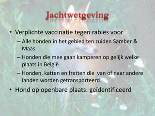 JachtwetgevingVerplichte vaccinatie tegen rabiës voor	Alle honden in het gebied ten zuiden Samber & MaasHonden die mee gaan kamperen op gelijk welke plaats in BelgiëHonden, katten en fretten die  van of naar andere landen worden getransporteerdHond op openbare plaats: geïdentificeerd