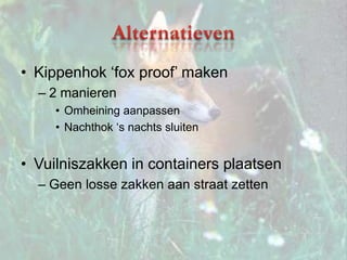 Stroppen en klemmenVideo 1: “Vossenplaag in Brussel  'Ze komen tot in je tuin' - Gva.be”Video 2: “Vossenjacht langer open  - Knack”Nadelen