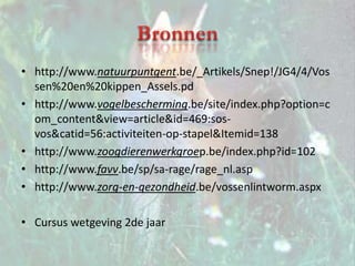 Besluit KimVoordelen versus nadelenVoordelen hebben:Foute redeneringBetere oplossing Resoluut tegen vossenjacht