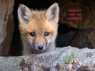 Besluit M. & S.In situatie van schadelijders