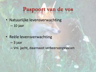 Paspoort van de vosNatuurlijke levensverwachting10 jaarReële levensverwachting3 jaarVnl. jacht, daarnaast verkeersongevallen