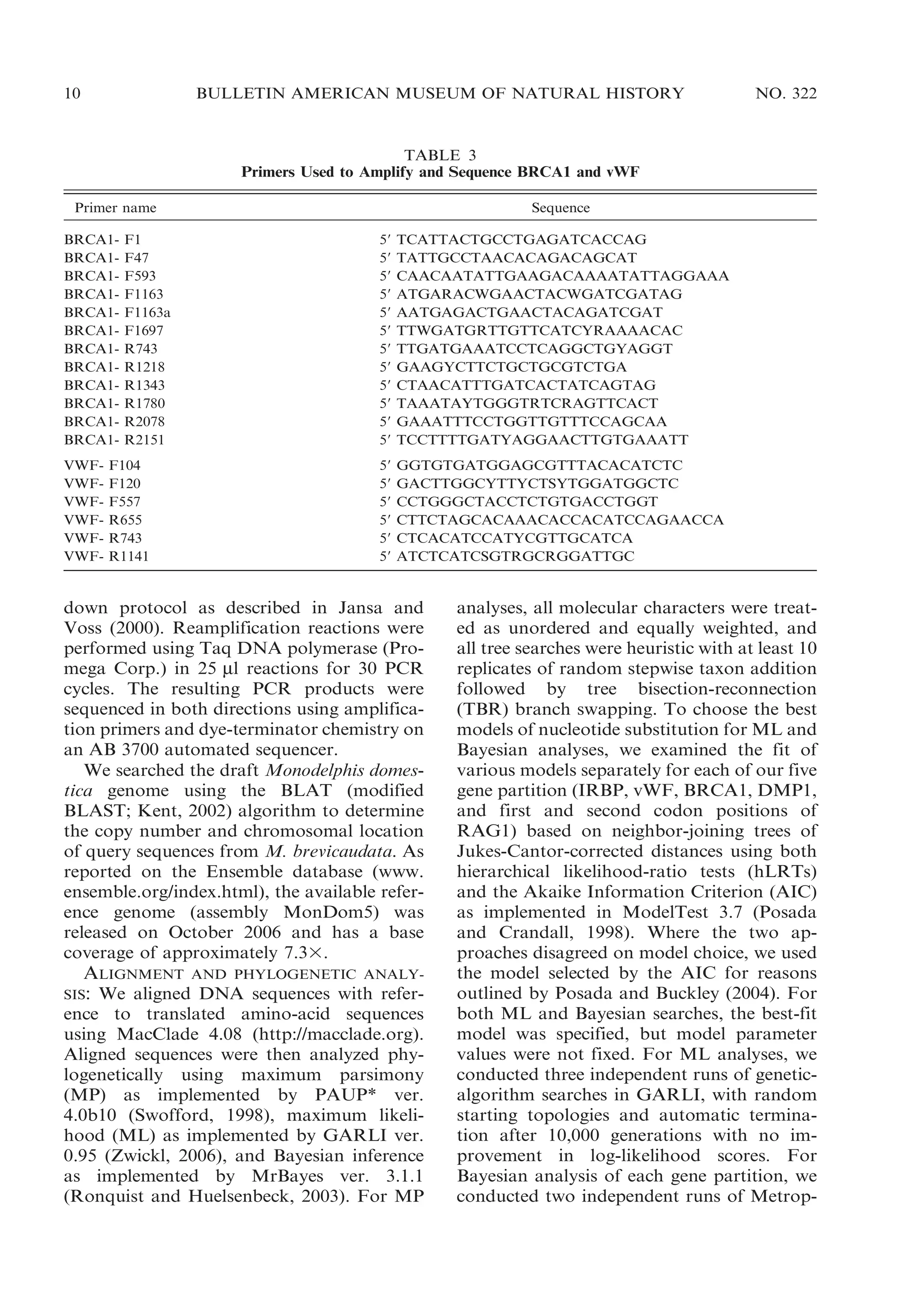 10

BULLETIN AMERICAN MUSEUM OF NATURAL HISTORY

NO. 322

TABLE 3
Primers Used to Amplify and Sequence BRCA1 and vWF
Primer name
BRCA1BRCA1BRCA1BRCA1BRCA1BRCA1BRCA1BRCA1BRCA1BRCA1BRCA1BRCA1VWFVWFVWFVWFVWFVWF-

F1
F47
F593
F1163
F1163a
F1697
R743
R1218
R1343
R1780
R2078
R2151

F104
F120
F557
R655
R743
R1141

Sequence
59
59
59
59
59
59
59
59
59
59
59
59

TCATTACTGCCTGAGATCACCAG
TATTGCCTAACACAGACAGCAT
CAACAATATTGAAGACAAAATATTAGGAAA
ATGARACWGAACTACWGATCGATAG
AATGAGACTGAACTACAGATCGAT
TTWGATGRTTGTTCATCYRAAAACAC
TTGATGAAATCCTCAGGCTGYAGGT
GAAGYCTTCTGCTGCGTCTGA
CTAACATTTGATCACTATCAGTAG
TAAATAYTGGGTRTCRAGTTCACT
GAAATTTCCTGGTTGTTTCCAGCAA
TCCTTTTGATYAGGAACTTGTGAAATT

59
59
59
59
59
59

GGTGTGATGGAGCGTTTACACATCTC
GACTTGGCYTTYCTSYTGGATGGCTC
CCTGGGCTACCTCTGTGACCTGGT
CTTCTAGCACAAACACCACATCCAGAACCA
CTCACATCCATYCGTTGCATCA
ATCTCATCSGTRGCRGGATTGC

down protocol as described in Jansa and
Voss (2000). Reamplification reactions were
performed using Taq DNA polymerase (Promega Corp.) in 25 ml reactions for 30 PCR
cycles. The resulting PCR products were
sequenced in both directions using amplification primers and dye-terminator chemistry on
an AB 3700 automated sequencer.
We searched the draft Monodelphis domestica genome using the BLAT (modified
BLAST; Kent, 2002) algorithm to determine
the copy number and chromosomal location
of query sequences from M. brevicaudata. As
reported on the Ensemble database (www.
ensemble.org/index.html), the available reference genome (assembly MonDom5) was
released on October 2006 and has a base
coverage of approximately 7.33.

ALIGNMENT AND PHYLOGENETIC ANALYWe aligned DNA sequences with reference to translated amino-acid sequences
using MacClade 4.08 (http://macclade.org).
Aligned sequences were then analyzed phylogenetically using maximum parsimony
(MP) as implemented by PAUP* ver.
4.0b10 (Swofford, 1998), maximum likelihood (ML) as implemented by GARLI ver.
0.95 (Zwickl, 2006), and Bayesian inference
as implemented by MrBayes ver. 3.1.1
(Ronquist and Huelsenbeck, 2003). For MP
SIS:

analyses, all molecular characters were treated as unordered and equally weighted, and
all tree searches were heuristic with at least 10
replicates of random stepwise taxon addition
followed by tree bisection-reconnection
(TBR) branch swapping. To choose the best
models of nucleotide substitution for ML and
Bayesian analyses, we examined the fit of
various models separately for each of our five
gene partition (IRBP, vWF, BRCA1, DMP1,
and first and second codon positions of
RAG1) based on neighbor-joining trees of
Jukes-Cantor-corrected distances using both
hierarchical likelihood-ratio tests (hLRTs)
and the Akaike Information Criterion (AIC)
as implemented in ModelTest 3.7 (Posada
and Crandall, 1998). Where the two approaches disagreed on model choice, we used
the model selected by the AIC for reasons
outlined by Posada and Buckley (2004). For
both ML and Bayesian searches, the best-fit
model was specified, but model parameter
values were not fixed. For ML analyses, we
conducted three independent runs of geneticalgorithm searches in GARLI, with random
starting topologies and automatic termination after 10,000 generations with no improvement in log-likelihood scores. For
Bayesian analysis of each gene partition, we
conducted two independent runs of Metrop-

 