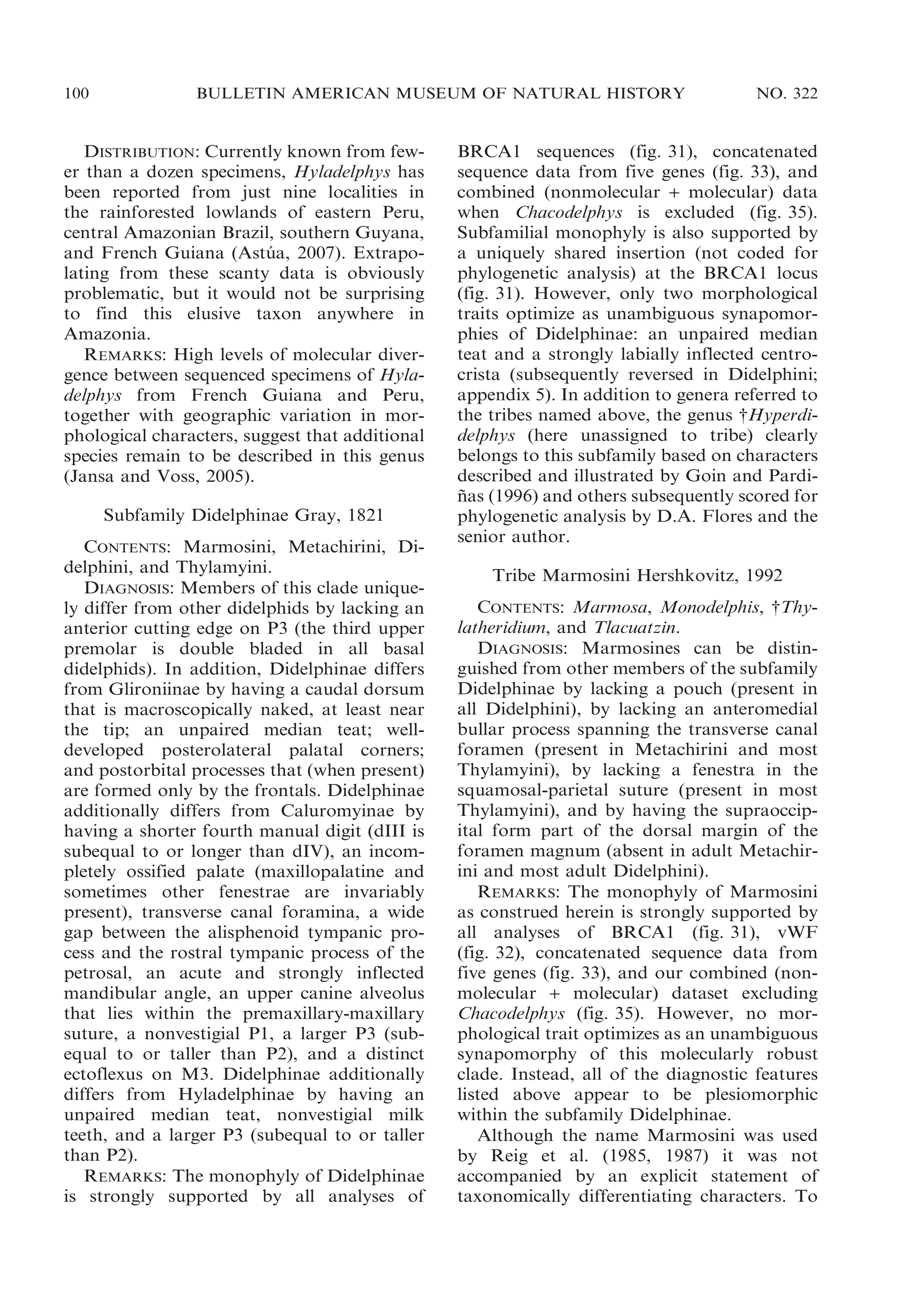 100

BULLETIN AMERICAN MUSEUM OF NATURAL HISTORY

DISTRIBUTION: Currently known from fewer than a dozen specimens, Hyladelphys has
been reported from just nine localities in
the rainforested lowlands of eastern Peru,
central Amazonian Brazil, southern Guyana,
and French Guiana (Astua, 2007). Extrapo´
lating from these scanty data is obviously
problematic, but it would not be surprising
to find this elusive taxon anywhere in
Amazonia.
REMARKS: High levels of molecular divergence between sequenced specimens of Hyladelphys from French Guiana and Peru,
together with geographic variation in morphological characters, suggest that additional
species remain to be described in this genus
(Jansa and Voss, 2005).
Subfamily Didelphinae Gray, 1821
CONTENTS: Marmosini, Metachirini, Didelphini, and Thylamyini.
DIAGNOSIS: Members of this clade uniquely differ from other didelphids by lacking an
anterior cutting edge on P3 (the third upper
premolar is double bladed in all basal
didelphids). In addition, Didelphinae differs
from Glironiinae by having a caudal dorsum
that is macroscopically naked, at least near
the tip; an unpaired median teat; welldeveloped posterolateral palatal corners;
and postorbital processes that (when present)
are formed only by the frontals. Didelphinae
additionally differs from Caluromyinae by
having a shorter fourth manual digit (dIII is
subequal to or longer than dIV), an incompletely ossified palate (maxillopalatine and
sometimes other fenestrae are invariably
present), transverse canal foramina, a wide
gap between the alisphenoid tympanic process and the rostral tympanic process of the
petrosal, an acute and strongly inflected
mandibular angle, an upper canine alveolus
that lies within the premaxillary-maxillary
suture, a nonvestigial P1, a larger P3 (subequal to or taller than P2), and a distinct
ectoflexus on M3. Didelphinae additionally
differs from Hyladelphinae by having an
unpaired median teat, nonvestigial milk
teeth, and a larger P3 (subequal to or taller
than P2).
REMARKS: The monophyly of Didelphinae
is strongly supported by all analyses of

NO. 322

BRCA1 sequences (fig. 31), concatenated
sequence data from five genes (fig. 33), and
combined (nonmolecular + molecular) data
when Chacodelphys is excluded (fig. 35).
Subfamilial monophyly is also supported by
a uniquely shared insertion (not coded for
phylogenetic analysis) at the BRCA1 locus
(fig. 31). However, only two morphological
traits optimize as unambiguous synapomorphies of Didelphinae: an unpaired median
teat and a strongly labially inflected centrocrista (subsequently reversed in Didelphini;
appendix 5). In addition to genera referred to
the tribes named above, the genus {Hyperdidelphys (here unassigned to tribe) clearly
belongs to this subfamily based on characters
described and illustrated by Goin and Pardinas (1996) and others subsequently scored for
˜
phylogenetic analysis by D.A. Flores and the
senior author.
Tribe Marmosini Hershkovitz, 1992
CONTENTS: Marmosa, Monodelphis, {Thylatheridium, and Tlacuatzin.
DIAGNOSIS: Marmosines can be distinguished from other members of the subfamily
Didelphinae by lacking a pouch (present in
all Didelphini), by lacking an anteromedial
bullar process spanning the transverse canal
foramen (present in Metachirini and most
Thylamyini), by lacking a fenestra in the
squamosal-parietal suture (present in most
Thylamyini), and by having the supraoccipital form part of the dorsal margin of the
foramen magnum (absent in adult Metachirini and most adult Didelphini).
REMARKS: The monophyly of Marmosini
as construed herein is strongly supported by
all analyses of BRCA1 (fig. 31), vWF
(fig. 32), concatenated sequence data from
five genes (fig. 33), and our combined (nonmolecular + molecular) dataset excluding
Chacodelphys (fig. 35). However, no morphological trait optimizes as an unambiguous
synapomorphy of this molecularly robust
clade. Instead, all of the diagnostic features
listed above appear to be plesiomorphic
within the subfamily Didelphinae.
Although the name Marmosini was used
by Reig et al. (1985, 1987) it was not
accompanied by an explicit statement of
taxonomically differentiating characters. To

 