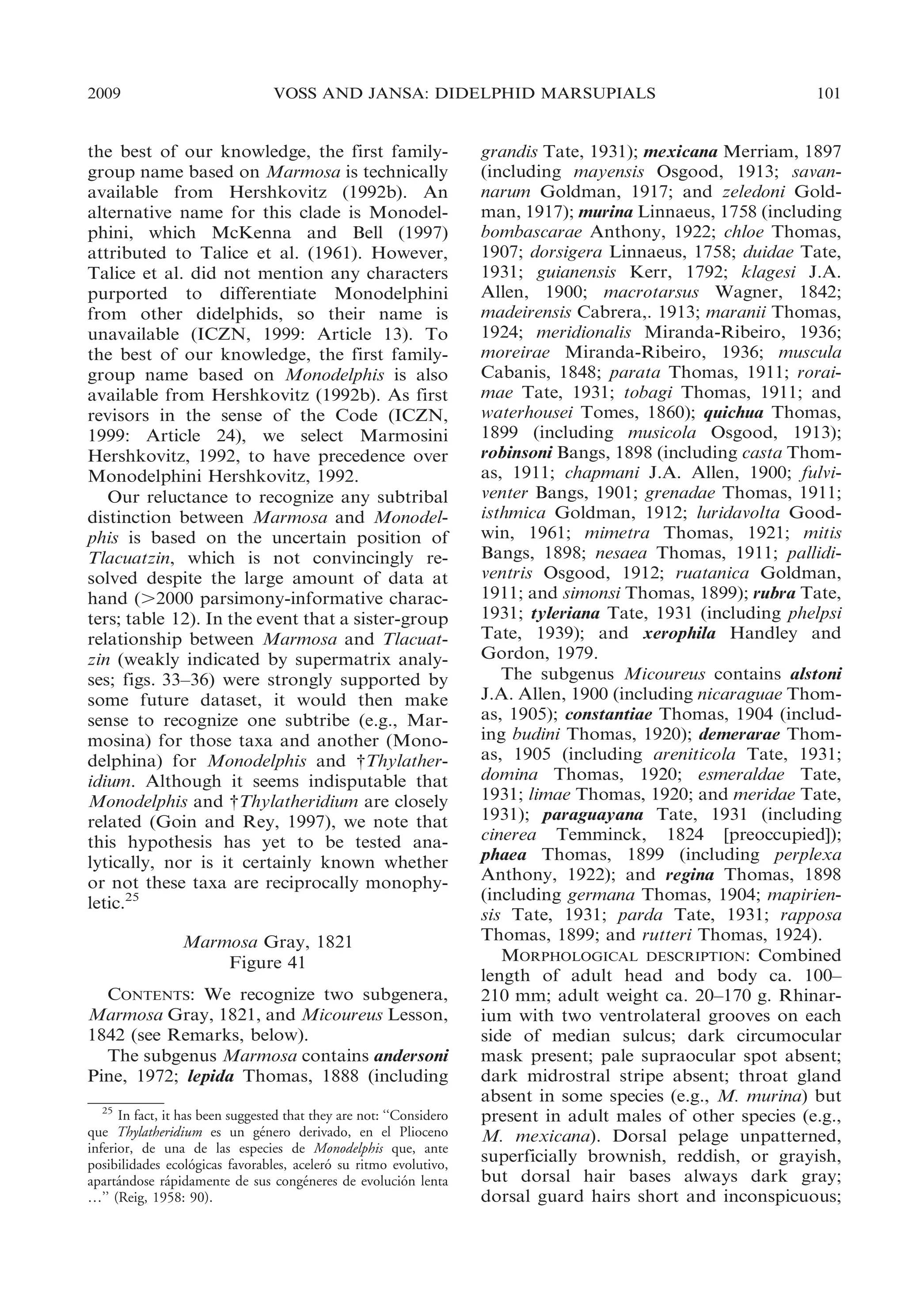 2009

VOSS AND JANSA: DIDELPHID MARSUPIALS

the best of our knowledge, the first familygroup name based on Marmosa is technically
available from Hershkovitz (1992b). An
alternative name for this clade is Monodelphini, which McKenna and Bell (1997)
attributed to Talice et al. (1961). However,
Talice et al. did not mention any characters
purported to differentiate Monodelphini
from other didelphids, so their name is
unavailable (ICZN, 1999: Article 13). To
the best of our knowledge, the first familygroup name based on Monodelphis is also
available from Hershkovitz (1992b). As first
revisors in the sense of the Code (ICZN,
1999: Article 24), we select Marmosini
Hershkovitz, 1992, to have precedence over
Monodelphini Hershkovitz, 1992.
Our reluctance to recognize any subtribal
distinction between Marmosa and Monodelphis is based on the uncertain position of
Tlacuatzin, which is not convincingly resolved despite the large amount of data at
hand (.2000 parsimony-informative characters; table 12). In the event that a sister-group
relationship between Marmosa and Tlacuatzin (weakly indicated by supermatrix analyses; figs. 33–36) were strongly supported by
some future dataset, it would then make
sense to recognize one subtribe (e.g., Marmosina) for those taxa and another (Monodelphina) for Monodelphis and {Thylatheridium. Although it seems indisputable that
Monodelphis and {Thylatheridium are closely
related (Goin and Rey, 1997), we note that
this hypothesis has yet to be tested analytically, nor is it certainly known whether
or not these taxa are reciprocally monophyletic.25
Marmosa Gray, 1821
Figure 41
CONTENTS: We recognize two subgenera,
Marmosa Gray, 1821, and Micoureus Lesson,
1842 (see Remarks, below).
The subgenus Marmosa contains andersoni
Pine, 1972; lepida Thomas, 1888 (including
25
In fact, it has been suggested that they are not: ‘‘Considero
´
que Thylatheridium es un genero derivado, en el Plioceno
inferior, de una de las especies de Monodelphis que, ante
´
´
posibilidades ecologicas favorables, acelero su ritmo evolutivo,
´
´
´
´
apartandose rapidamente de sus congeneres de evolucion lenta
…’’ (Reig, 1958: 90).

101

grandis Tate, 1931); mexicana Merriam, 1897
(including mayensis Osgood, 1913; savannarum Goldman, 1917; and zeledoni Goldman, 1917); murina Linnaeus, 1758 (including
bombascarae Anthony, 1922; chloe Thomas,
1907; dorsigera Linnaeus, 1758; duidae Tate,
1931; guianensis Kerr, 1792; klagesi J.A.
Allen, 1900; macrotarsus Wagner, 1842;
madeirensis Cabrera,. 1913; maranii Thomas,
1924; meridionalis Miranda-Ribeiro, 1936;
moreirae Miranda-Ribeiro, 1936; muscula
Cabanis, 1848; parata Thomas, 1911; roraimae Tate, 1931; tobagi Thomas, 1911; and
waterhousei Tomes, 1860); quichua Thomas,
1899 (including musicola Osgood, 1913);
robinsoni Bangs, 1898 (including casta Thomas, 1911; chapmani J.A. Allen, 1900; fulviventer Bangs, 1901; grenadae Thomas, 1911;
isthmica Goldman, 1912; luridavolta Goodwin, 1961; mimetra Thomas, 1921; mitis
Bangs, 1898; nesaea Thomas, 1911; pallidiventris Osgood, 1912; ruatanica Goldman,
1911; and simonsi Thomas, 1899); rubra Tate,
1931; tyleriana Tate, 1931 (including phelpsi
Tate, 1939); and xerophila Handley and
Gordon, 1979.
The subgenus Micoureus contains alstoni
J.A. Allen, 1900 (including nicaraguae Thomas, 1905); constantiae Thomas, 1904 (including budini Thomas, 1920); demerarae Thomas, 1905 (including areniticola Tate, 1931;
domina Thomas, 1920; esmeraldae Tate,
1931; limae Thomas, 1920; and meridae Tate,
1931); paraguayana Tate, 1931 (including
cinerea Temminck, 1824 [preoccupied]);
phaea Thomas, 1899 (including perplexa
Anthony, 1922); and regina Thomas, 1898
(including germana Thomas, 1904; mapiriensis Tate, 1931; parda Tate, 1931; rapposa
Thomas, 1899; and rutteri Thomas, 1924).
MORPHOLOGICAL DESCRIPTION: Combined
length of adult head and body ca. 100–
210 mm; adult weight ca. 20–170 g. Rhinarium with two ventrolateral grooves on each
side of median sulcus; dark circumocular
mask present; pale supraocular spot absent;
dark midrostral stripe absent; throat gland
absent in some species (e.g., M. murina) but
present in adult males of other species (e.g.,
M. mexicana). Dorsal pelage unpatterned,
superficially brownish, reddish, or grayish,
but dorsal hair bases always dark gray;
dorsal guard hairs short and inconspicuous;

 