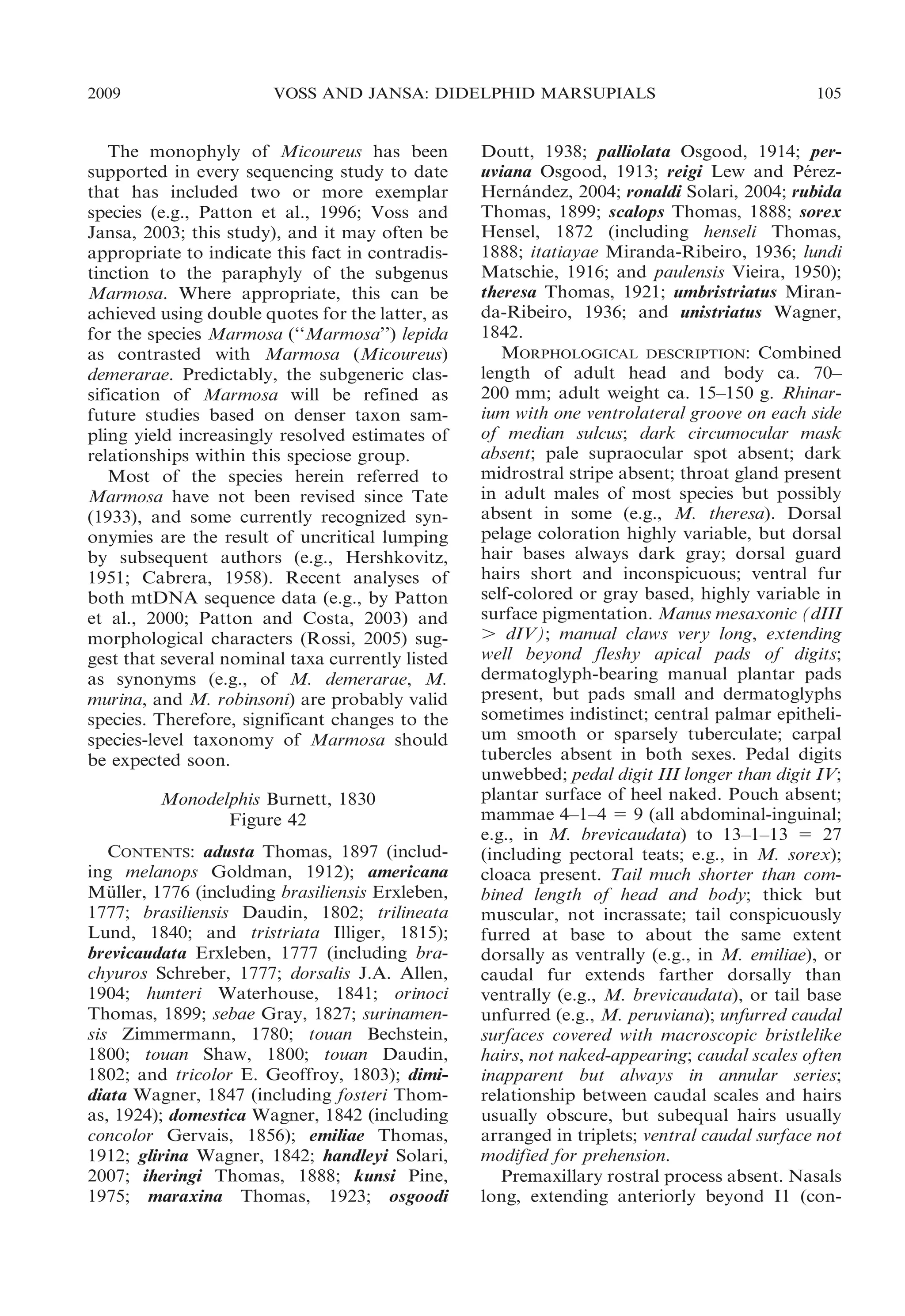 2009

VOSS AND JANSA: DIDELPHID MARSUPIALS

The monophyly of Micoureus has been
supported in every sequencing study to date
that has included two or more exemplar
species (e.g., Patton et al., 1996; Voss and
Jansa, 2003; this study), and it may often be
appropriate to indicate this fact in contradistinction to the paraphyly of the subgenus
Marmosa. Where appropriate, this can be
achieved using double quotes for the latter, as
for the species Marmosa (‘‘Marmosa’’) lepida
as contrasted with Marmosa (Micoureus)
demerarae. Predictably, the subgeneric classification of Marmosa will be refined as
future studies based on denser taxon sampling yield increasingly resolved estimates of
relationships within this speciose group.
Most of the species herein referred to
Marmosa have not been revised since Tate
(1933), and some currently recognized synonymies are the result of uncritical lumping
by subsequent authors (e.g., Hershkovitz,
1951; Cabrera, 1958). Recent analyses of
both mtDNA sequence data (e.g., by Patton
et al., 2000; Patton and Costa, 2003) and
morphological characters (Rossi, 2005) suggest that several nominal taxa currently listed
as synonyms (e.g., of M. demerarae, M.
murina, and M. robinsoni) are probably valid
species. Therefore, significant changes to the
species-level taxonomy of Marmosa should
be expected soon.
Monodelphis Burnett, 1830
Figure 42
CONTENTS: adusta Thomas, 1897 (including melanops Goldman, 1912); americana
Muller, 1776 (including brasiliensis Erxleben,
¨
1777; brasiliensis Daudin, 1802; trilineata
Lund, 1840; and tristriata Illiger, 1815);
brevicaudata Erxleben, 1777 (including brachyuros Schreber, 1777; dorsalis J.A. Allen,
1904; hunteri Waterhouse, 1841; orinoci
Thomas, 1899; sebae Gray, 1827; surinamensis Zimmermann, 1780; touan Bechstein,
1800; touan Shaw, 1800; touan Daudin,
1802; and tricolor E. Geoffroy, 1803); dimidiata Wagner, 1847 (including fosteri Thomas, 1924); domestica Wagner, 1842 (including
concolor Gervais, 1856); emiliae Thomas,
1912; glirina Wagner, 1842; handleyi Solari,
2007; iheringi Thomas, 1888; kunsi Pine,
1975; maraxina Thomas, 1923; osgoodi

105

Doutt, 1938; palliolata Osgood, 1914; peruviana Osgood, 1913; reigi Lew and Perez´
Hernandez, 2004; ronaldi Solari, 2004; rubida
´
Thomas, 1899; scalops Thomas, 1888; sorex
Hensel, 1872 (including henseli Thomas,
1888; itatiayae Miranda-Ribeiro, 1936; lundi
Matschie, 1916; and paulensis Vieira, 1950);
theresa Thomas, 1921; umbristriatus Miranda-Ribeiro, 1936; and unistriatus Wagner,
1842.
MORPHOLOGICAL DESCRIPTION: Combined
length of adult head and body ca. 70–
200 mm; adult weight ca. 15–150 g. Rhinarium with one ventrolateral groove on each side
of median sulcus; dark circumocular mask
absent; pale supraocular spot absent; dark
midrostral stripe absent; throat gland present
in adult males of most species but possibly
absent in some (e.g., M. theresa). Dorsal
pelage coloration highly variable, but dorsal
hair bases always dark gray; dorsal guard
hairs short and inconspicuous; ventral fur
self-colored or gray based, highly variable in
surface pigmentation. Manus mesaxonic (dIII
. dIV); manual claws very long, extending
well beyond fleshy apical pads of digits;
dermatoglyph-bearing manual plantar pads
present, but pads small and dermatoglyphs
sometimes indistinct; central palmar epithelium smooth or sparsely tuberculate; carpal
tubercles absent in both sexes. Pedal digits
unwebbed; pedal digit III longer than digit IV;
plantar surface of heel naked. Pouch absent;
mammae 4–1–4 5 9 (all abdominal-inguinal;
e.g., in M. brevicaudata) to 13–1–13 5 27
(including pectoral teats; e.g., in M. sorex);
cloaca present. Tail much shorter than combined length of head and body; thick but
muscular, not incrassate; tail conspicuously
furred at base to about the same extent
dorsally as ventrally (e.g., in M. emiliae), or
caudal fur extends farther dorsally than
ventrally (e.g., M. brevicaudata), or tail base
unfurred (e.g., M. peruviana); unfurred caudal
surfaces covered with macroscopic bristlelike
hairs, not naked-appearing; caudal scales often
inapparent but always in annular series;
relationship between caudal scales and hairs
usually obscure, but subequal hairs usually
arranged in triplets; ventral caudal surface not
modified for prehension.
Premaxillary rostral process absent. Nasals
long, extending anteriorly beyond I1 (con-

 