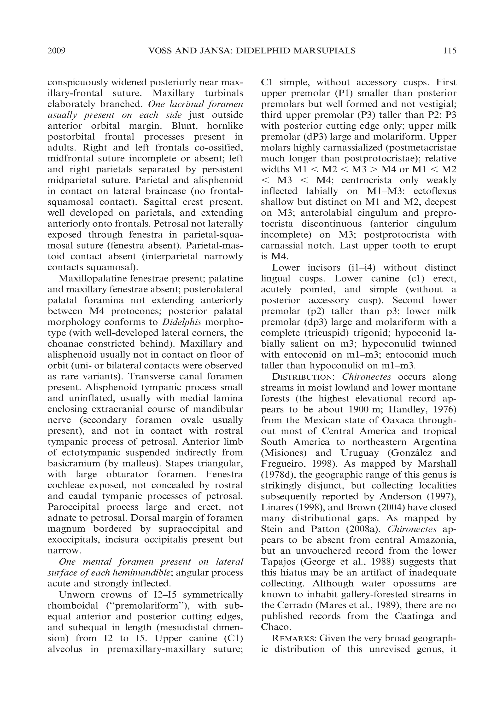 2009

VOSS AND JANSA: DIDELPHID MARSUPIALS

conspicuously widened posteriorly near maxillary-frontal suture. Maxillary turbinals
elaborately branched. One lacrimal foramen
usually present on each side just outside
anterior orbital margin. Blunt, hornlike
postorbital frontal processes present in
adults. Right and left frontals co-ossified,
midfrontal suture incomplete or absent; left
and right parietals separated by persistent
midparietal suture. Parietal and alisphenoid
in contact on lateral braincase (no frontalsquamosal contact). Sagittal crest present,
well developed on parietals, and extending
anteriorly onto frontals. Petrosal not laterally
exposed through fenestra in parietal-squamosal suture (fenestra absent). Parietal-mastoid contact absent (interparietal narrowly
contacts squamosal).
Maxillopalatine fenestrae present; palatine
and maxillary fenestrae absent; posterolateral
palatal foramina not extending anteriorly
between M4 protocones; posterior palatal
morphology conforms to Didelphis morphotype (with well-developed lateral corners, the
choanae constricted behind). Maxillary and
alisphenoid usually not in contact on floor of
orbit (uni- or bilateral contacts were observed
as rare variants). Transverse canal foramen
present. Alisphenoid tympanic process small
and uninflated, usually with medial lamina
enclosing extracranial course of mandibular
nerve (secondary foramen ovale usually
present), and not in contact with rostral
tympanic process of petrosal. Anterior limb
of ectotympanic suspended indirectly from
basicranium (by malleus). Stapes triangular,
with large obturator foramen. Fenestra
cochleae exposed, not concealed by rostral
and caudal tympanic processes of petrosal.
Paroccipital process large and erect, not
adnate to petrosal. Dorsal margin of foramen
magnum bordered by supraoccipital and
exoccipitals, incisura occipitalis present but
narrow.
One mental foramen present on lateral
surface of each hemimandible; angular process
acute and strongly inflected.
Unworn crowns of I2–I5 symmetrically
rhomboidal (‘‘premolariform’’), with subequal anterior and posterior cutting edges,
and subequal in length (mesiodistal dimension) from I2 to I5. Upper canine (C1)
alveolus in premaxillary-maxillary suture;

115

C1 simple, without accessory cusps. First
upper premolar (P1) smaller than posterior
premolars but well formed and not vestigial;
third upper premolar (P3) taller than P2; P3
with posterior cutting edge only; upper milk
premolar (dP3) large and molariform. Upper
molars highly carnassialized (postmetacristae
much longer than postprotocristae); relative
widths M1 , M2 , M3 . M4 or M1 , M2
, M3 , M4; centrocrista only weakly
inflected labially on M1–M3; ectoflexus
shallow but distinct on M1 and M2, deepest
on M3; anterolabial cingulum and preprotocrista discontinuous (anterior cingulum
incomplete) on M3; postprotocrista with
carnassial notch. Last upper tooth to erupt
is M4.
Lower incisors (i1–i4) without distinct
lingual cusps. Lower canine (c1) erect,
acutely pointed, and simple (without a
posterior accessory cusp). Second lower
premolar (p2) taller than p3; lower milk
premolar (dp3) large and molariform with a
complete (tricuspid) trigonid; hypoconid labially salient on m3; hypoconulid twinned
with entoconid on m1–m3; entoconid much
taller than hypoconulid on m1–m3.
DISTRIBUTION: Chironectes occurs along
streams in moist lowland and lower montane
forests (the highest elevational record appears to be about 1900 m; Handley, 1976)
from the Mexican state of Oaxaca throughout most of Central America and tropical
South America to northeastern Argentina
(Misiones) and Uruguay (Gonzalez and
´
Fregueiro, 1998). As mapped by Marshall
(1978d), the geographic range of this genus is
strikingly disjunct, but collecting localities
subsequently reported by Anderson (1997),
Linares (1998), and Brown (2004) have closed
many distributional gaps. As mapped by
Stein and Patton (2008a), Chironectes appears to be absent from central Amazonia,
but an unvouchered record from the lower
Tapajos (George et al., 1988) suggests that
this hiatus may be an artifact of inadequate
collecting. Although water opossums are
known to inhabit gallery-forested streams in
the Cerrado (Mares et al., 1989), there are no
published records from the Caatinga and
Chaco.
REMARKS: Given the very broad geographic distribution of this unrevised genus, it

 