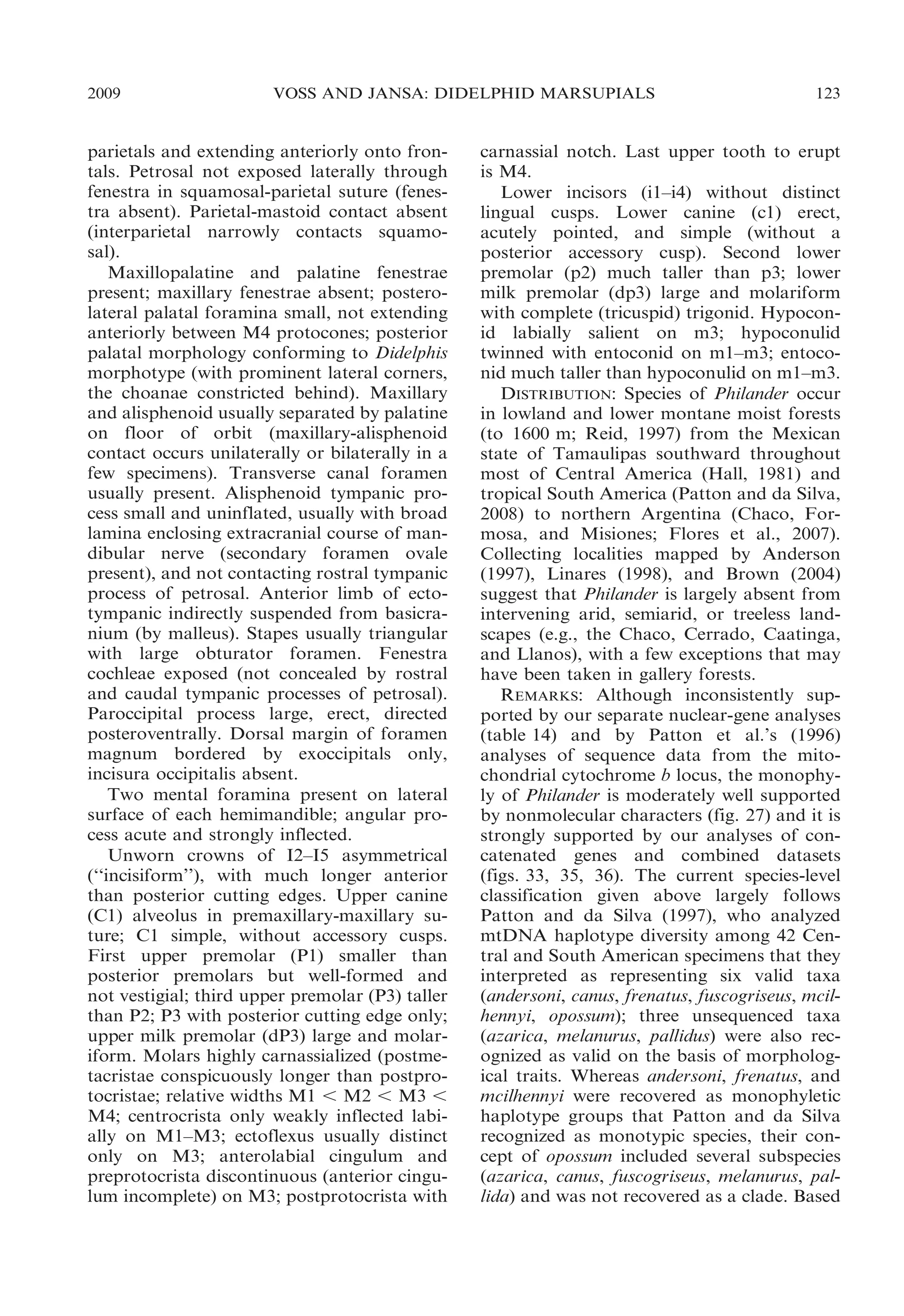 2009

VOSS AND JANSA: DIDELPHID MARSUPIALS

parietals and extending anteriorly onto frontals. Petrosal not exposed laterally through
fenestra in squamosal-parietal suture (fenestra absent). Parietal-mastoid contact absent
(interparietal narrowly contacts squamosal).
Maxillopalatine and palatine fenestrae
present; maxillary fenestrae absent; posterolateral palatal foramina small, not extending
anteriorly between M4 protocones; posterior
palatal morphology conforming to Didelphis
morphotype (with prominent lateral corners,
the choanae constricted behind). Maxillary
and alisphenoid usually separated by palatine
on floor of orbit (maxillary-alisphenoid
contact occurs unilaterally or bilaterally in a
few specimens). Transverse canal foramen
usually present. Alisphenoid tympanic process small and uninflated, usually with broad
lamina enclosing extracranial course of mandibular nerve (secondary foramen ovale
present), and not contacting rostral tympanic
process of petrosal. Anterior limb of ectotympanic indirectly suspended from basicranium (by malleus). Stapes usually triangular
with large obturator foramen. Fenestra
cochleae exposed (not concealed by rostral
and caudal tympanic processes of petrosal).
Paroccipital process large, erect, directed
posteroventrally. Dorsal margin of foramen
magnum bordered by exoccipitals only,
incisura occipitalis absent.
Two mental foramina present on lateral
surface of each hemimandible; angular process acute and strongly inflected.
Unworn crowns of I2–I5 asymmetrical
(‘‘incisiform’’), with much longer anterior
than posterior cutting edges. Upper canine
(C1) alveolus in premaxillary-maxillary suture; C1 simple, without accessory cusps.
First upper premolar (P1) smaller than
posterior premolars but well-formed and
not vestigial; third upper premolar (P3) taller
than P2; P3 with posterior cutting edge only;
upper milk premolar (dP3) large and molariform. Molars highly carnassialized (postmetacristae conspicuously longer than postprotocristae; relative widths M1 , M2 , M3 ,
M4; centrocrista only weakly inflected labially on M1–M3; ectoflexus usually distinct
only on M3; anterolabial cingulum and
preprotocrista discontinuous (anterior cingulum incomplete) on M3; postprotocrista with

123

carnassial notch. Last upper tooth to erupt
is M4.
Lower incisors (i1–i4) without distinct
lingual cusps. Lower canine (c1) erect,
acutely pointed, and simple (without a
posterior accessory cusp). Second lower
premolar (p2) much taller than p3; lower
milk premolar (dp3) large and molariform
with complete (tricuspid) trigonid. Hypoconid labially salient on m3; hypoconulid
twinned with entoconid on m1–m3; entoconid much taller than hypoconulid on m1–m3.
DISTRIBUTION: Species of Philander occur
in lowland and lower montane moist forests
(to 1600 m; Reid, 1997) from the Mexican
state of Tamaulipas southward throughout
most of Central America (Hall, 1981) and
tropical South America (Patton and da Silva,
2008) to northern Argentina (Chaco, Formosa, and Misiones; Flores et al., 2007).
Collecting localities mapped by Anderson
(1997), Linares (1998), and Brown (2004)
suggest that Philander is largely absent from
intervening arid, semiarid, or treeless landscapes (e.g., the Chaco, Cerrado, Caatinga,
and Llanos), with a few exceptions that may
have been taken in gallery forests.
REMARKS: Although inconsistently supported by our separate nuclear-gene analyses
(table 14) and by Patton et al.’s (1996)
analyses of sequence data from the mitochondrial cytochrome b locus, the monophyly of Philander is moderately well supported
by nonmolecular characters (fig. 27) and it is
strongly supported by our analyses of concatenated genes and combined datasets
(figs. 33, 35, 36). The current species-level
classification given above largely follows
Patton and da Silva (1997), who analyzed
mtDNA haplotype diversity among 42 Central and South American specimens that they
interpreted as representing six valid taxa
(andersoni, canus, frenatus, fuscogriseus, mcilhennyi, opossum); three unsequenced taxa
(azarica, melanurus, pallidus) were also recognized as valid on the basis of morphological traits. Whereas andersoni, frenatus, and
mcilhennyi were recovered as monophyletic
haplotype groups that Patton and da Silva
recognized as monotypic species, their concept of opossum included several subspecies
(azarica, canus, fuscogriseus, melanurus, pallida) and was not recovered as a clade. Based

 