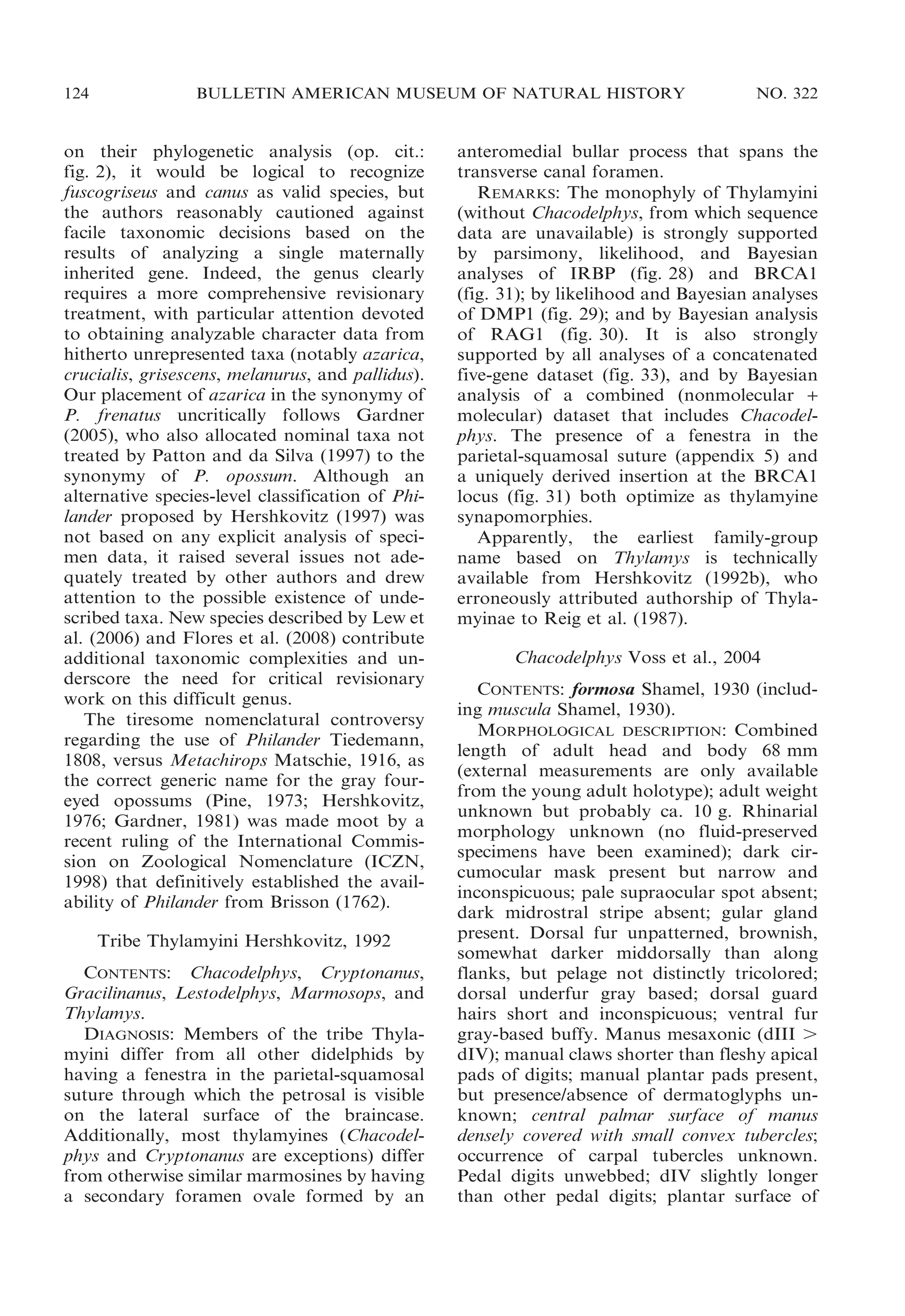 124

BULLETIN AMERICAN MUSEUM OF NATURAL HISTORY

on their phylogenetic analysis (op. cit.:
fig. 2), it would be logical to recognize
fuscogriseus and canus as valid species, but
the authors reasonably cautioned against
facile taxonomic decisions based on the
results of analyzing a single maternally
inherited gene. Indeed, the genus clearly
requires a more comprehensive revisionary
treatment, with particular attention devoted
to obtaining analyzable character data from
hitherto unrepresented taxa (notably azarica,
crucialis, grisescens, melanurus, and pallidus).
Our placement of azarica in the synonymy of
P. frenatus uncritically follows Gardner
(2005), who also allocated nominal taxa not
treated by Patton and da Silva (1997) to the
synonymy of P. opossum. Although an
alternative species-level classification of Philander proposed by Hershkovitz (1997) was
not based on any explicit analysis of specimen data, it raised several issues not adequately treated by other authors and drew
attention to the possible existence of undescribed taxa. New species described by Lew et
al. (2006) and Flores et al. (2008) contribute
additional taxonomic complexities and underscore the need for critical revisionary
work on this difficult genus.
The tiresome nomenclatural controversy
regarding the use of Philander Tiedemann,
1808, versus Metachirops Matschie, 1916, as
the correct generic name for the gray foureyed opossums (Pine, 1973; Hershkovitz,
1976; Gardner, 1981) was made moot by a
recent ruling of the International Commission on Zoological Nomenclature (ICZN,
1998) that definitively established the availability of Philander from Brisson (1762).
Tribe Thylamyini Hershkovitz, 1992
CONTENTS: Chacodelphys, Cryptonanus,
Gracilinanus, Lestodelphys, Marmosops, and
Thylamys.
DIAGNOSIS: Members of the tribe Thylamyini differ from all other didelphids by
having a fenestra in the parietal-squamosal
suture through which the petrosal is visible
on the lateral surface of the braincase.
Additionally, most thylamyines (Chacodelphys and Cryptonanus are exceptions) differ
from otherwise similar marmosines by having
a secondary foramen ovale formed by an

NO. 322

anteromedial bullar process that spans the
transverse canal foramen.
REMARKS: The monophyly of Thylamyini
(without Chacodelphys, from which sequence
data are unavailable) is strongly supported
by parsimony, likelihood, and Bayesian
analyses of IRBP (fig. 28) and BRCA1
(fig. 31); by likelihood and Bayesian analyses
of DMP1 (fig. 29); and by Bayesian analysis
of RAG1 (fig. 30). It is also strongly
supported by all analyses of a concatenated
five-gene dataset (fig. 33), and by Bayesian
analysis of a combined (nonmolecular +
molecular) dataset that includes Chacodelphys. The presence of a fenestra in the
parietal-squamosal suture (appendix 5) and
a uniquely derived insertion at the BRCA1
locus (fig. 31) both optimize as thylamyine
synapomorphies.
Apparently, the earliest family-group
name based on Thylamys is technically
available from Hershkovitz (1992b), who
erroneously attributed authorship of Thylamyinae to Reig et al. (1987).
Chacodelphys Voss et al., 2004
CONTENTS: formosa Shamel, 1930 (including muscula Shamel, 1930).
MORPHOLOGICAL DESCRIPTION: Combined
length of adult head and body 68 mm
(external measurements are only available
from the young adult holotype); adult weight
unknown but probably ca. 10 g. Rhinarial
morphology unknown (no fluid-preserved
specimens have been examined); dark circumocular mask present but narrow and
inconspicuous; pale supraocular spot absent;
dark midrostral stripe absent; gular gland
present. Dorsal fur unpatterned, brownish,
somewhat darker middorsally than along
flanks, but pelage not distinctly tricolored;
dorsal underfur gray based; dorsal guard
hairs short and inconspicuous; ventral fur
gray-based buffy. Manus mesaxonic (dIII .
dIV); manual claws shorter than fleshy apical
pads of digits; manual plantar pads present,
but presence/absence of dermatoglyphs unknown; central palmar surface of manus
densely covered with small convex tubercles;
occurrence of carpal tubercles unknown.
Pedal digits unwebbed; dIV slightly longer
than other pedal digits; plantar surface of

 