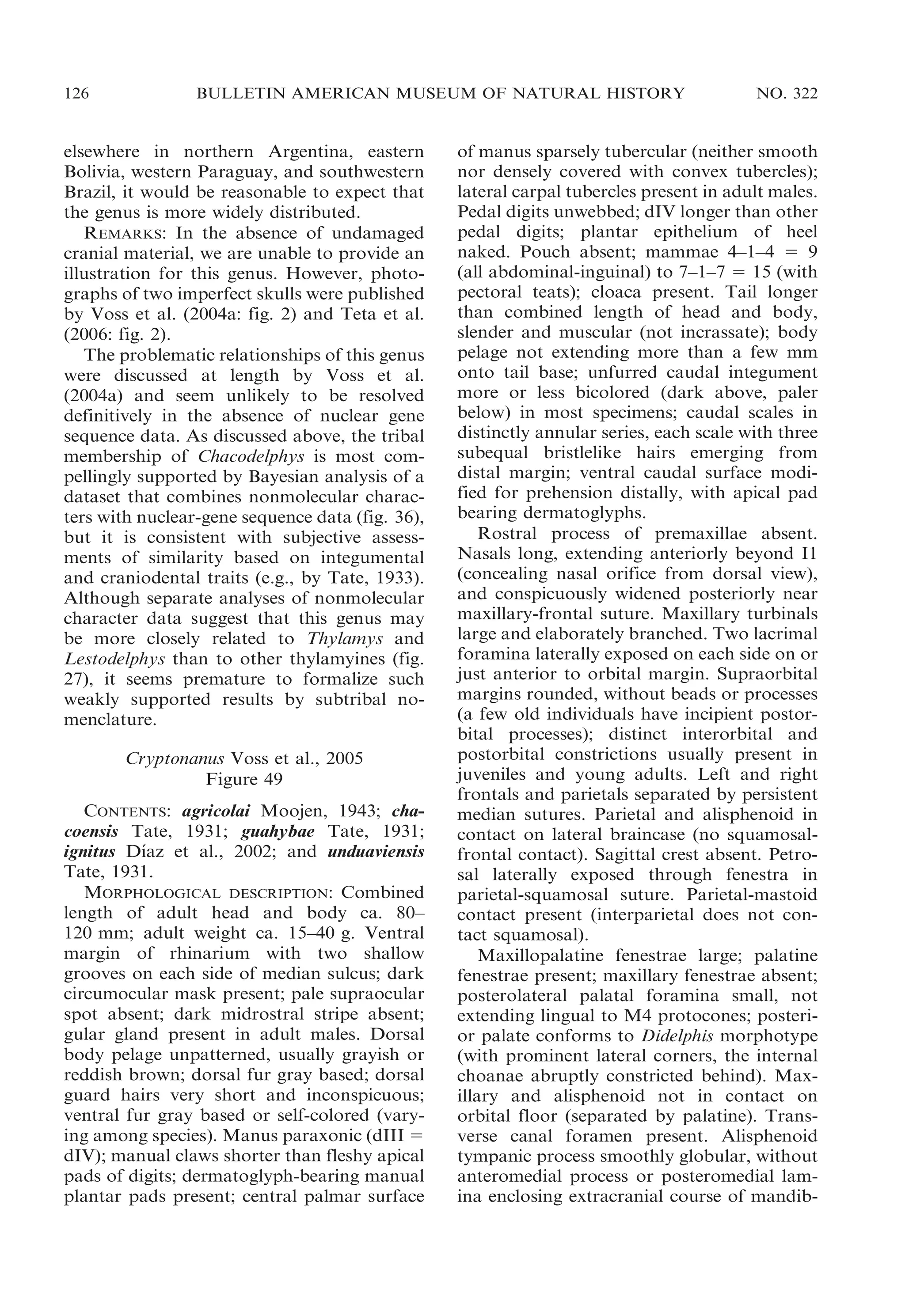126

BULLETIN AMERICAN MUSEUM OF NATURAL HISTORY

elsewhere in northern Argentina, eastern
Bolivia, western Paraguay, and southwestern
Brazil, it would be reasonable to expect that
the genus is more widely distributed.
REMARKS: In the absence of undamaged
cranial material, we are unable to provide an
illustration for this genus. However, photographs of two imperfect skulls were published
by Voss et al. (2004a: fig. 2) and Teta et al.
(2006: fig. 2).
The problematic relationships of this genus
were discussed at length by Voss et al.
(2004a) and seem unlikely to be resolved
definitively in the absence of nuclear gene
sequence data. As discussed above, the tribal
membership of Chacodelphys is most compellingly supported by Bayesian analysis of a
dataset that combines nonmolecular characters with nuclear-gene sequence data (fig. 36),
but it is consistent with subjective assessments of similarity based on integumental
and craniodental traits (e.g., by Tate, 1933).
Although separate analyses of nonmolecular
character data suggest that this genus may
be more closely related to Thylamys and
Lestodelphys than to other thylamyines (fig.
27), it seems premature to formalize such
weakly supported results by subtribal nomenclature.
Cryptonanus Voss et al., 2005
Figure 49
CONTENTS: agricolai Moojen, 1943; chacoensis Tate, 1931; guahybae Tate, 1931;
´
ignitus Dıaz et al., 2002; and unduaviensis
Tate, 1931.
MORPHOLOGICAL DESCRIPTION: Combined
length of adult head and body ca. 80–
120 mm; adult weight ca. 15–40 g. Ventral
margin of rhinarium with two shallow
grooves on each side of median sulcus; dark
circumocular mask present; pale supraocular
spot absent; dark midrostral stripe absent;
gular gland present in adult males. Dorsal
body pelage unpatterned, usually grayish or
reddish brown; dorsal fur gray based; dorsal
guard hairs very short and inconspicuous;
ventral fur gray based or self-colored (varying among species). Manus paraxonic (dIII 5
dIV); manual claws shorter than fleshy apical
pads of digits; dermatoglyph-bearing manual
plantar pads present; central palmar surface

NO. 322

of manus sparsely tubercular (neither smooth
nor densely covered with convex tubercles);
lateral carpal tubercles present in adult males.
Pedal digits unwebbed; dIV longer than other
pedal digits; plantar epithelium of heel
naked. Pouch absent; mammae 4–1–4 5 9
(all abdominal-inguinal) to 7–1–7 5 15 (with
pectoral teats); cloaca present. Tail longer
than combined length of head and body,
slender and muscular (not incrassate); body
pelage not extending more than a few mm
onto tail base; unfurred caudal integument
more or less bicolored (dark above, paler
below) in most specimens; caudal scales in
distinctly annular series, each scale with three
subequal bristlelike hairs emerging from
distal margin; ventral caudal surface modified for prehension distally, with apical pad
bearing dermatoglyphs.
Rostral process of premaxillae absent.
Nasals long, extending anteriorly beyond I1
(concealing nasal orifice from dorsal view),
and conspicuously widened posteriorly near
maxillary-frontal suture. Maxillary turbinals
large and elaborately branched. Two lacrimal
foramina laterally exposed on each side on or
just anterior to orbital margin. Supraorbital
margins rounded, without beads or processes
(a few old individuals have incipient postorbital processes); distinct interorbital and
postorbital constrictions usually present in
juveniles and young adults. Left and right
frontals and parietals separated by persistent
median sutures. Parietal and alisphenoid in
contact on lateral braincase (no squamosalfrontal contact). Sagittal crest absent. Petrosal laterally exposed through fenestra in
parietal-squamosal suture. Parietal-mastoid
contact present (interparietal does not contact squamosal).
Maxillopalatine fenestrae large; palatine
fenestrae present; maxillary fenestrae absent;
posterolateral palatal foramina small, not
extending lingual to M4 protocones; posterior palate conforms to Didelphis morphotype
(with prominent lateral corners, the internal
choanae abruptly constricted behind). Maxillary and alisphenoid not in contact on
orbital floor (separated by palatine). Transverse canal foramen present. Alisphenoid
tympanic process smoothly globular, without
anteromedial process or posteromedial lamina enclosing extracranial course of mandib-

 