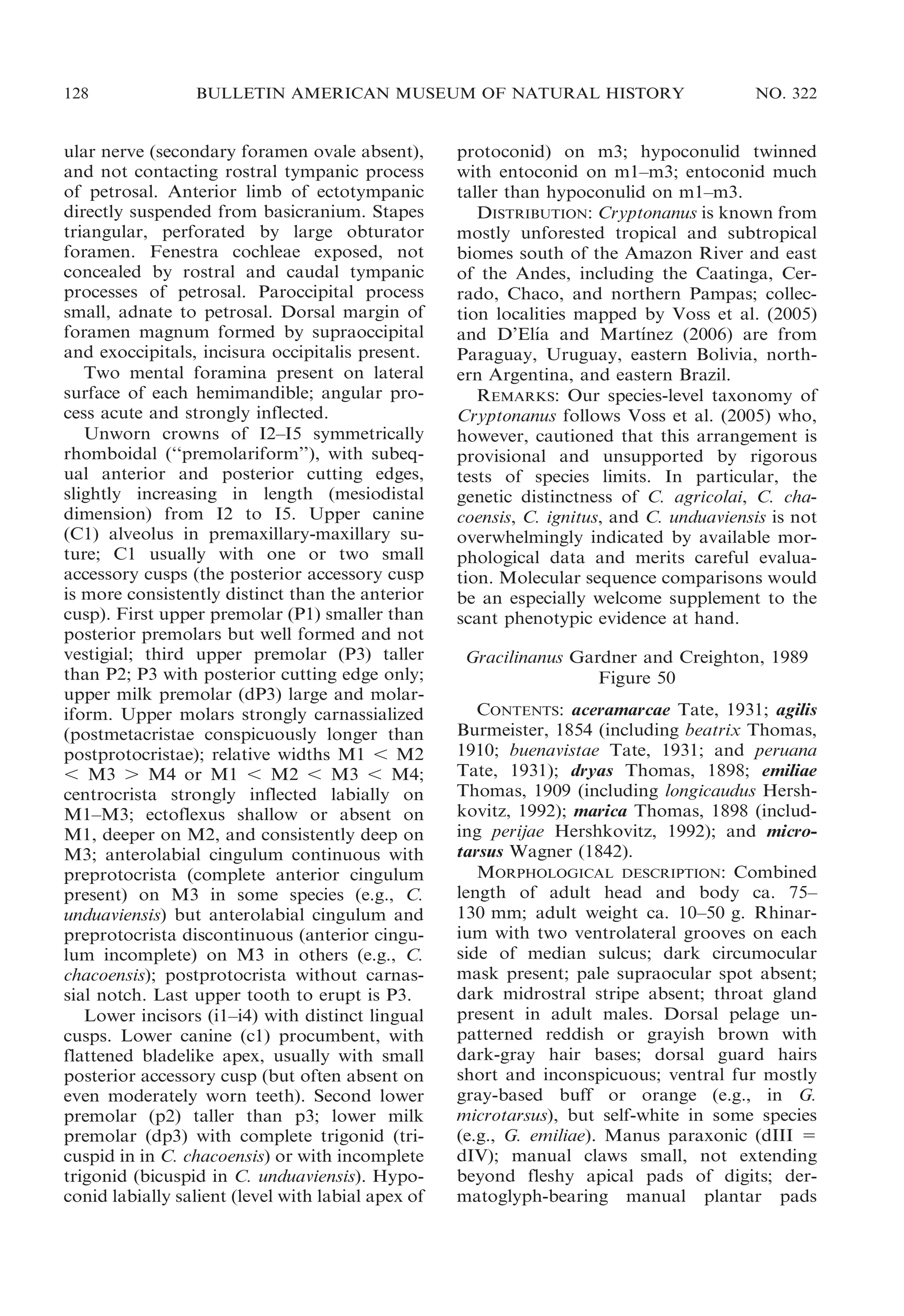 128

BULLETIN AMERICAN MUSEUM OF NATURAL HISTORY

ular nerve (secondary foramen ovale absent),
and not contacting rostral tympanic process
of petrosal. Anterior limb of ectotympanic
directly suspended from basicranium. Stapes
triangular, perforated by large obturator
foramen. Fenestra cochleae exposed, not
concealed by rostral and caudal tympanic
processes of petrosal. Paroccipital process
small, adnate to petrosal. Dorsal margin of
foramen magnum formed by supraoccipital
and exoccipitals, incisura occipitalis present.
Two mental foramina present on lateral
surface of each hemimandible; angular process acute and strongly inflected.
Unworn crowns of I2–I5 symmetrically
rhomboidal (‘‘premolariform’’), with subequal anterior and posterior cutting edges,
slightly increasing in length (mesiodistal
dimension) from I2 to I5. Upper canine
(C1) alveolus in premaxillary-maxillary suture; C1 usually with one or two small
accessory cusps (the posterior accessory cusp
is more consistently distinct than the anterior
cusp). First upper premolar (P1) smaller than
posterior premolars but well formed and not
vestigial; third upper premolar (P3) taller
than P2; P3 with posterior cutting edge only;
upper milk premolar (dP3) large and molariform. Upper molars strongly carnassialized
(postmetacristae conspicuously longer than
postprotocristae); relative widths M1 , M2
, M3 . M4 or M1 , M2 , M3 , M4;
centrocrista strongly inflected labially on
M1–M3; ectoflexus shallow or absent on
M1, deeper on M2, and consistently deep on
M3; anterolabial cingulum continuous with
preprotocrista (complete anterior cingulum
present) on M3 in some species (e.g., C.
unduaviensis) but anterolabial cingulum and
preprotocrista discontinuous (anterior cingulum incomplete) on M3 in others (e.g., C.
chacoensis); postprotocrista without carnassial notch. Last upper tooth to erupt is P3.
Lower incisors (i1–i4) with distinct lingual
cusps. Lower canine (c1) procumbent, with
flattened bladelike apex, usually with small
posterior accessory cusp (but often absent on
even moderately worn teeth). Second lower
premolar (p2) taller than p3; lower milk
premolar (dp3) with complete trigonid (tricuspid in in C. chacoensis) or with incomplete
trigonid (bicuspid in C. unduaviensis). Hypoconid labially salient (level with labial apex of

NO. 322

protoconid) on m3; hypoconulid twinned
with entoconid on m1–m3; entoconid much
taller than hypoconulid on m1–m3.
DISTRIBUTION: Cryptonanus is known from
mostly unforested tropical and subtropical
biomes south of the Amazon River and east
of the Andes, including the Caatinga, Cerrado, Chaco, and northern Pampas; collection localities mapped by Voss et al. (2005)
´
´
and D’Elıa and Martınez (2006) are from
Paraguay, Uruguay, eastern Bolivia, northern Argentina, and eastern Brazil.
REMARKS: Our species-level taxonomy of
Cryptonanus follows Voss et al. (2005) who,
however, cautioned that this arrangement is
provisional and unsupported by rigorous
tests of species limits. In particular, the
genetic distinctness of C. agricolai, C. chacoensis, C. ignitus, and C. unduaviensis is not
overwhelmingly indicated by available morphological data and merits careful evaluation. Molecular sequence comparisons would
be an especially welcome supplement to the
scant phenotypic evidence at hand.
Gracilinanus Gardner and Creighton, 1989
Figure 50
CONTENTS: aceramarcae Tate, 1931; agilis
Burmeister, 1854 (including beatrix Thomas,
1910; buenavistae Tate, 1931; and peruana
Tate, 1931); dryas Thomas, 1898; emiliae
Thomas, 1909 (including longicaudus Hershkovitz, 1992); marica Thomas, 1898 (including perijae Hershkovitz, 1992); and microtarsus Wagner (1842).
MORPHOLOGICAL DESCRIPTION: Combined
length of adult head and body ca. 75–
130 mm; adult weight ca. 10–50 g. Rhinarium with two ventrolateral grooves on each
side of median sulcus; dark circumocular
mask present; pale supraocular spot absent;
dark midrostral stripe absent; throat gland
present in adult males. Dorsal pelage unpatterned reddish or grayish brown with
dark-gray hair bases; dorsal guard hairs
short and inconspicuous; ventral fur mostly
gray-based buff or orange (e.g., in G.
microtarsus), but self-white in some species
(e.g., G. emiliae). Manus paraxonic (dIII 5
dIV); manual claws small, not extending
beyond fleshy apical pads of digits; dermatoglyph-bearing manual plantar pads

 