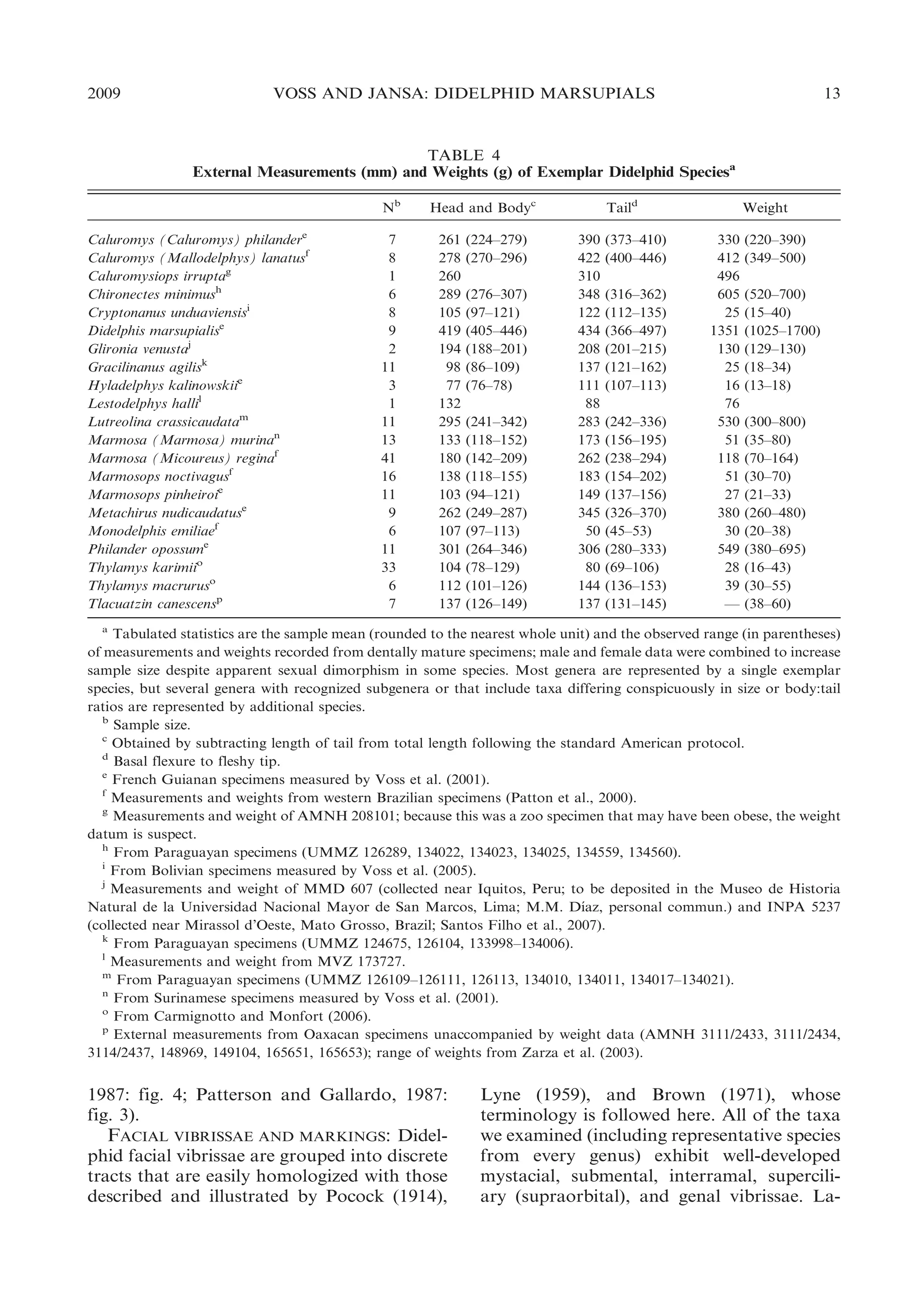 2009

VOSS AND JANSA: DIDELPHID MARSUPIALS

13

TABLE 4
External Measurements (mm) and Weights (g) of Exemplar Didelphid Speciesa
Nb
e

Caluromys (Caluromys) philander
Caluromys (Mallodelphys) lanatusf
Caluromysiops irruptag
Chironectes minimush
Cryptonanus unduaviensisi
Didelphis marsupialise
Glironia venustaj
Gracilinanus agilisk
Hyladelphys kalinowskiie
Lestodelphys hallil
Lutreolina crassicaudatam
Marmosa (Marmosa) murinan
Marmosa (Micoureus) reginaf
Marmosops noctivagusf
Marmosops pinheiroie
Metachirus nudicaudatuse
Monodelphis emiliaef
Philander opossume
Thylamys karimiio
Thylamys macruruso
Tlacuatzin canescensp

7
8
1
6
8
9
2
11
3
1
11
13
41
16
11
9
6
11
33
6
7

Head and Bodyc
261
278
260
289
105
419
194
98
77
132
295
133
180
138
103
262
107
301
104
112
137

(224–279)
(270–296)
(276–307)
(97–121)
(405–446)
(188–201)
(86–109)
(76–78)
(241–342)
(118–152)
(142–209)
(118–155)
(94–121)
(249–287)
(97–113)
(264–346)
(78–129)
(101–126)
(126–149)

Taild
390
422
310
348
122
434
208
137
111
88
283
173
262
183
149
345
50
306
80
144
137

(373–410)
(400–446)
(316–362)
(112–135)
(366–497)
(201–215)
(121–162)
(107–113)
(242–336)
(156–195)
(238–294)
(154–202)
(137–156)
(326–370)
(45–53)
(280–333)
(69–106)
(136–153)
(131–145)

Weight
330
412
496
605
25
1351
130
25
16
76
530
51
118
51
27
380
30
549
28
39
—

(220–390)
(349–500)
(520–700)
(15–40)
(1025–1700)
(129–130)
(18–34)
(13–18)
(300–800)
(35–80)
(70–164)
(30–70)
(21–33)
(260–480)
(20–38)
(380–695)
(16–43)
(30–55)
(38–60)

a
Tabulated statistics are the sample mean (rounded to the nearest whole unit) and the observed range (in parentheses)
of measurements and weights recorded from dentally mature specimens; male and female data were combined to increase
sample size despite apparent sexual dimorphism in some species. Most genera are represented by a single exemplar
species, but several genera with recognized subgenera or that include taxa differing conspicuously in size or body:tail
ratios are represented by additional species.
b
Sample size.
c
Obtained by subtracting length of tail from total length following the standard American protocol.
d
Basal flexure to fleshy tip.
e
French Guianan specimens measured by Voss et al. (2001).
f
Measurements and weights from western Brazilian specimens (Patton et al., 2000).
g
Measurements and weight of AMNH 208101; because this was a zoo specimen that may have been obese, the weight
datum is suspect.
h
From Paraguayan specimens (UMMZ 126289, 134022, 134023, 134025, 134559, 134560).
i
From Bolivian specimens measured by Voss et al. (2005).
j
Measurements and weight of MMD 607 (collected near Iquitos, Peru; to be deposited in the Museo de Historia
´
Natural de la Universidad Nacional Mayor de San Marcos, Lima; M.M. Dıaz, personal commun.) and INPA 5237
(collected near Mirassol d’Oeste, Mato Grosso, Brazil; Santos Filho et al., 2007).
k
From Paraguayan specimens (UMMZ 124675, 126104, 133998–134006).
l
Measurements and weight from MVZ 173727.
m
From Paraguayan specimens (UMMZ 126109–126111, 126113, 134010, 134011, 134017–134021).
n
From Surinamese specimens measured by Voss et al. (2001).
o
From Carmignotto and Monfort (2006).
p
External measurements from Oaxacan specimens unaccompanied by weight data (AMNH 3111/2433, 3111/2434,
3114/2437, 148969, 149104, 165651, 165653); range of weights from Zarza et al. (2003).

1987: fig. 4; Patterson and Gallardo, 1987:
fig. 3).
FACIAL VIBRISSAE AND MARKINGS: Didelphid facial vibrissae are grouped into discrete
tracts that are easily homologized with those
described and illustrated by Pocock (1914),

Lyne (1959), and Brown (1971), whose
terminology is followed here. All of the taxa
we examined (including representative species
from every genus) exhibit well-developed
mystacial, submental, interramal, superciliary (supraorbital), and genal vibrissae. La-

 