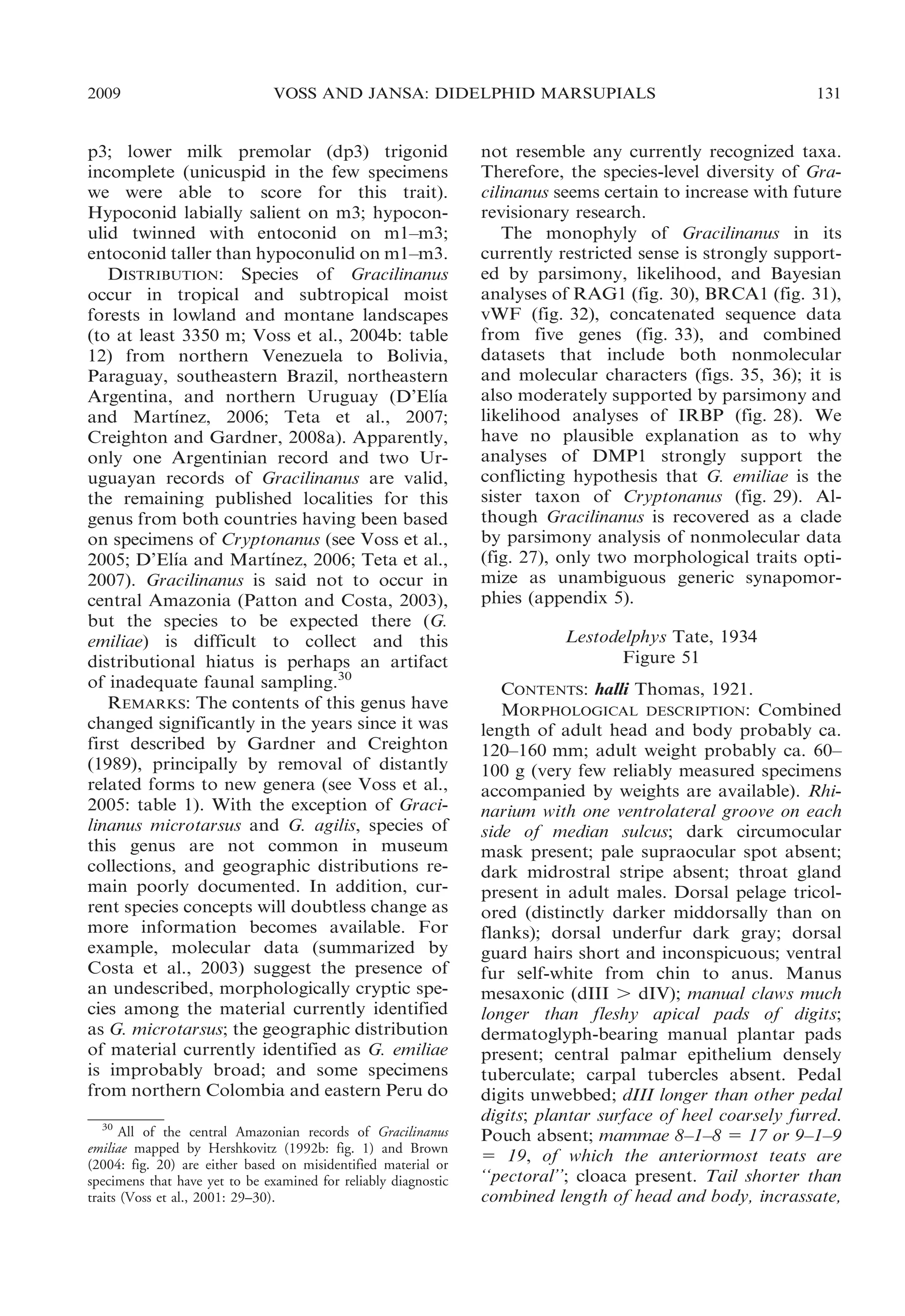 2009

VOSS AND JANSA: DIDELPHID MARSUPIALS

p3; lower milk premolar (dp3) trigonid
incomplete (unicuspid in the few specimens
we were able to score for this trait).
Hypoconid labially salient on m3; hypoconulid twinned with entoconid on m1–m3;
entoconid taller than hypoconulid on m1–m3.
DISTRIBUTION: Species of Gracilinanus
occur in tropical and subtropical moist
forests in lowland and montane landscapes
(to at least 3350 m; Voss et al., 2004b: table
12) from northern Venezuela to Bolivia,
Paraguay, southeastern Brazil, northeastern
´
Argentina, and northern Uruguay (D’Elıa
´
and Martınez, 2006; Teta et al., 2007;
Creighton and Gardner, 2008a). Apparently,
only one Argentinian record and two Uruguayan records of Gracilinanus are valid,
the remaining published localities for this
genus from both countries having been based
on specimens of Cryptonanus (see Voss et al.,
´
´
2005; D’Elıa and Martınez, 2006; Teta et al.,
2007). Gracilinanus is said not to occur in
central Amazonia (Patton and Costa, 2003),
but the species to be expected there (G.
emiliae) is difficult to collect and this
distributional hiatus is perhaps an artifact
of inadequate faunal sampling.30
REMARKS: The contents of this genus have
changed significantly in the years since it was
first described by Gardner and Creighton
(1989), principally by removal of distantly
related forms to new genera (see Voss et al.,
2005: table 1). With the exception of Gracilinanus microtarsus and G. agilis, species of
this genus are not common in museum
collections, and geographic distributions remain poorly documented. In addition, current species concepts will doubtless change as
more information becomes available. For
example, molecular data (summarized by
Costa et al., 2003) suggest the presence of
an undescribed, morphologically cryptic species among the material currently identified
as G. microtarsus; the geographic distribution
of material currently identified as G. emiliae
is improbably broad; and some specimens
from northern Colombia and eastern Peru do
30
All of the central Amazonian records of Gracilinanus
emiliae mapped by Hershkovitz (1992b: fig. 1) and Brown
(2004: fig. 20) are either based on misidentified material or
specimens that have yet to be examined for reliably diagnostic
traits (Voss et al., 2001: 29–30).

131

not resemble any currently recognized taxa.
Therefore, the species-level diversity of Gracilinanus seems certain to increase with future
revisionary research.
The monophyly of Gracilinanus in its
currently restricted sense is strongly supported by parsimony, likelihood, and Bayesian
analyses of RAG1 (fig. 30), BRCA1 (fig. 31),
vWF (fig. 32), concatenated sequence data
from five genes (fig. 33), and combined
datasets that include both nonmolecular
and molecular characters (figs. 35, 36); it is
also moderately supported by parsimony and
likelihood analyses of IRBP (fig. 28). We
have no plausible explanation as to why
analyses of DMP1 strongly support the
conflicting hypothesis that G. emiliae is the
sister taxon of Cryptonanus (fig. 29). Although Gracilinanus is recovered as a clade
by parsimony analysis of nonmolecular data
(fig. 27), only two morphological traits optimize as unambiguous generic synapomorphies (appendix 5).
Lestodelphys Tate, 1934
Figure 51
CONTENTS: halli Thomas, 1921.
MORPHOLOGICAL DESCRIPTION: Combined
length of adult head and body probably ca.
120–160 mm; adult weight probably ca. 60–
100 g (very few reliably measured specimens
accompanied by weights are available). Rhinarium with one ventrolateral groove on each
side of median sulcus; dark circumocular
mask present; pale supraocular spot absent;
dark midrostral stripe absent; throat gland
present in adult males. Dorsal pelage tricolored (distinctly darker middorsally than on
flanks); dorsal underfur dark gray; dorsal
guard hairs short and inconspicuous; ventral
fur self-white from chin to anus. Manus
mesaxonic (dIII . dIV); manual claws much
longer than fleshy apical pads of digits;
dermatoglyph-bearing manual plantar pads
present; central palmar epithelium densely
tuberculate; carpal tubercles absent. Pedal
digits unwebbed; dIII longer than other pedal
digits; plantar surface of heel coarsely furred.
Pouch absent; mammae 8–1–8 5 17 or 9–1–9
5 19, of which the anteriormost teats are
‘‘pectoral’’; cloaca present. Tail shorter than
combined length of head and body, incrassate,

 