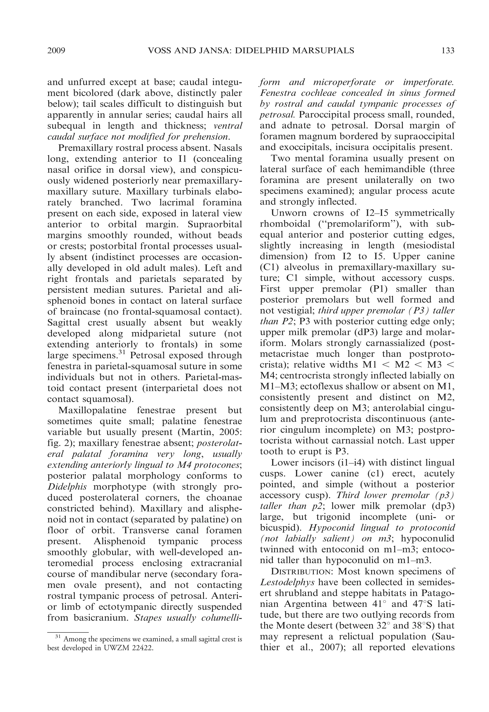 2009

VOSS AND JANSA: DIDELPHID MARSUPIALS

and unfurred except at base; caudal integument bicolored (dark above, distinctly paler
below); tail scales difficult to distinguish but
apparently in annular series; caudal hairs all
subequal in length and thickness; ventral
caudal surface not modified for prehension.
Premaxillary rostral process absent. Nasals
long, extending anterior to I1 (concealing
nasal orifice in dorsal view), and conspicuously widened posteriorly near premaxillarymaxillary suture. Maxillary turbinals elaborately branched. Two lacrimal foramina
present on each side, exposed in lateral view
anterior to orbital margin. Supraorbital
margins smoothly rounded, without beads
or crests; postorbital frontal processes usually absent (indistinct processes are occasionally developed in old adult males). Left and
right frontals and parietals separated by
persistent median sutures. Parietal and alisphenoid bones in contact on lateral surface
of braincase (no frontal-squamosal contact).
Sagittal crest usually absent but weakly
developed along midparietal suture (not
extending anteriorly to frontals) in some
large specimens.31 Petrosal exposed through
fenestra in parietal-squamosal suture in some
individuals but not in others. Parietal-mastoid contact present (interparietal does not
contact squamosal).
Maxillopalatine fenestrae present but
sometimes quite small; palatine fenestrae
variable but usually present (Martin, 2005:
fig. 2); maxillary fenestrae absent; posterolateral palatal foramina very long, usually
extending anteriorly lingual to M4 protocones;
posterior palatal morphology conforms to
Didelphis morphotype (with strongly produced posterolateral corners, the choanae
constricted behind). Maxillary and alisphenoid not in contact (separated by palatine) on
floor of orbit. Transverse canal foramen
present. Alisphenoid tympanic process
smoothly globular, with well-developed anteromedial process enclosing extracranial
course of mandibular nerve (secondary foramen ovale present), and not contacting
rostral tympanic process of petrosal. Anterior limb of ectotympanic directly suspended
from basicranium. Stapes usually columelli31
Among the specimens we examined, a small sagittal crest is
best developed in UWZM 22422.

133

form and microperforate or imperforate.
Fenestra cochleae concealed in sinus formed
by rostral and caudal tympanic processes of
petrosal. Paroccipital process small, rounded,
and adnate to petrosal. Dorsal margin of
foramen magnum bordered by supraoccipital
and exoccipitals, incisura occipitalis present.
Two mental foramina usually present on
lateral surface of each hemimandible (three
foramina are present unilaterally on two
specimens examined); angular process acute
and strongly inflected.
Unworn crowns of I2–I5 symmetrically
rhomboidal (‘‘premolariform’’), with subequal anterior and posterior cutting edges,
slightly increasing in length (mesiodistal
dimension) from I2 to I5. Upper canine
(C1) alveolus in premaxillary-maxillary suture; C1 simple, without accessory cusps.
First upper premolar (P1) smaller than
posterior premolars but well formed and
not vestigial; third upper premolar (P3) taller
than P2; P3 with posterior cutting edge only;
upper milk premolar (dP3) large and molariform. Molars strongly carnassialized (postmetacristae much longer than postprotocrista); relative widths M1 , M2 , M3 ,
M4; centrocrista strongly inflected labially on
M1–M3; ectoflexus shallow or absent on M1,
consistently present and distinct on M2,
consistently deep on M3; anterolabial cingulum and preprotocrista discontinuous (anterior cingulum incomplete) on M3; postprotocrista without carnassial notch. Last upper
tooth to erupt is P3.
Lower incisors (i1–i4) with distinct lingual
cusps. Lower canine (c1) erect, acutely
pointed, and simple (without a posterior
accessory cusp). Third lower premolar (p3)
taller than p2; lower milk premolar (dp3)
large, but trigonid incomplete (uni- or
bicuspid). Hypoconid lingual to protoconid
(not labially salient) on m3; hypoconulid
twinned with entoconid on m1–m3; entoconid taller than hypoconulid on m1–m3.
DISTRIBUTION: Most known specimens of
Lestodelphys have been collected in semidesert shrubland and steppe habitats in Patagonian Argentina between 41u and 47uS latitude, but there are two outlying records from
the Monte desert (between 32u and 38uS) that
may represent a relictual population (Sauthier et al., 2007); all reported elevations

 