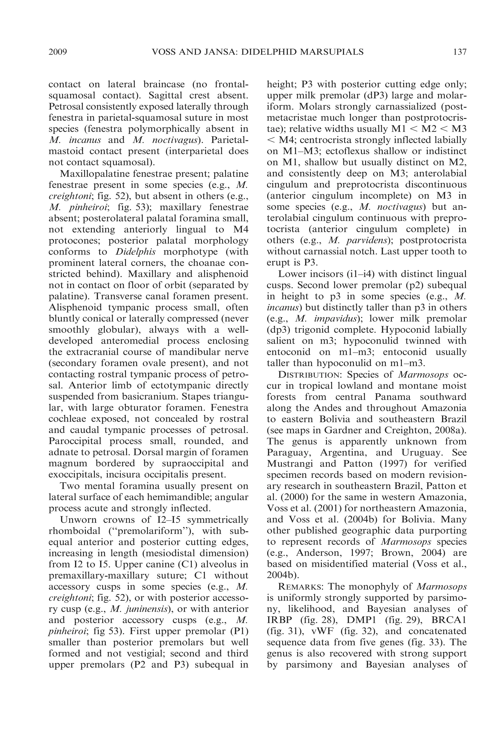 2009

VOSS AND JANSA: DIDELPHID MARSUPIALS

contact on lateral braincase (no frontalsquamosal contact). Sagittal crest absent.
Petrosal consistently exposed laterally through
fenestra in parietal-squamosal suture in most
species (fenestra polymorphically absent in
M. incanus and M. noctivagus). Parietalmastoid contact present (interparietal does
not contact squamosal).
Maxillopalatine fenestrae present; palatine
fenestrae present in some species (e.g., M.
creightoni; fig. 52), but absent in others (e.g.,
M. pinheiroi; fig. 53); maxillary fenestrae
absent; posterolateral palatal foramina small,
not extending anteriorly lingual to M4
protocones; posterior palatal morphology
conforms to Didelphis morphotype (with
prominent lateral corners, the choanae constricted behind). Maxillary and alisphenoid
not in contact on floor of orbit (separated by
palatine). Transverse canal foramen present.
Alisphenoid tympanic process small, often
bluntly conical or laterally compressed (never
smoothly globular), always with a welldeveloped anteromedial process enclosing
the extracranial course of mandibular nerve
(secondary foramen ovale present), and not
contacting rostral tympanic process of petrosal. Anterior limb of ectotympanic directly
suspended from basicranium. Stapes triangular, with large obturator foramen. Fenestra
cochleae exposed, not concealed by rostral
and caudal tympanic processes of petrosal.
Paroccipital process small, rounded, and
adnate to petrosal. Dorsal margin of foramen
magnum bordered by supraoccipital and
exoccipitals, incisura occipitalis present.
Two mental foramina usually present on
lateral surface of each hemimandible; angular
process acute and strongly inflected.
Unworn crowns of I2–I5 symmetrically
rhomboidal (‘‘premolariform’’), with subequal anterior and posterior cutting edges,
increasing in length (mesiodistal dimension)
from I2 to I5. Upper canine (C1) alveolus in
premaxillary-maxillary suture; C1 without
accessory cusps in some species (e.g., M.
creightoni; fig. 52), or with posterior accessory cusp (e.g., M. juninensis), or with anterior
and posterior accessory cusps (e.g., M.
pinheiroi; fig 53). First upper premolar (P1)
smaller than posterior premolars but well
formed and not vestigial; second and third
upper premolars (P2 and P3) subequal in

137

height; P3 with posterior cutting edge only;
upper milk premolar (dP3) large and molariform. Molars strongly carnassialized (postmetacristae much longer than postprotocristae); relative widths usually M1 , M2 , M3
, M4; centrocrista strongly inflected labially
on M1–M3; ectoflexus shallow or indistinct
on M1, shallow but usually distinct on M2,
and consistently deep on M3; anterolabial
cingulum and preprotocrista discontinuous
(anterior cingulum incomplete) on M3 in
some species (e.g., M. noctivagus) but anterolabial cingulum continuous with preprotocrista (anterior cingulum complete) in
others (e.g., M. parvidens); postprotocrista
without carnassial notch. Last upper tooth to
erupt is P3.
Lower incisors (i1–i4) with distinct lingual
cusps. Second lower premolar (p2) subequal
in height to p3 in some species (e.g., M.
incanus) but distinctly taller than p3 in others
(e.g., M. impavidus); lower milk premolar
(dp3) trigonid complete. Hypoconid labially
salient on m3; hypoconulid twinned with
entoconid on m1–m3; entoconid usually
taller than hypoconulid on m1–m3.
DISTRIBUTION: Species of Marmosops occur in tropical lowland and montane moist
forests from central Panama southward
along the Andes and throughout Amazonia
to eastern Bolivia and southeastern Brazil
(see maps in Gardner and Creighton, 2008a).
The genus is apparently unknown from
Paraguay, Argentina, and Uruguay. See
Mustrangi and Patton (1997) for verified
specimen records based on modern revisionary research in southeastern Brazil, Patton et
al. (2000) for the same in western Amazonia,
Voss et al. (2001) for northeastern Amazonia,
and Voss et al. (2004b) for Bolivia. Many
other published geographic data purporting
to represent records of Marmosops species
(e.g., Anderson, 1997; Brown, 2004) are
based on misidentified material (Voss et al.,
2004b).
REMARKS: The monophyly of Marmosops
is uniformly strongly supported by parsimony, likelihood, and Bayesian analyses of
IRBP (fig. 28), DMP1 (fig. 29), BRCA1
(fig. 31), vWF (fig. 32), and concatenated
sequence data from five genes (fig. 33). The
genus is also recovered with strong support
by parsimony and Bayesian analyses of

 