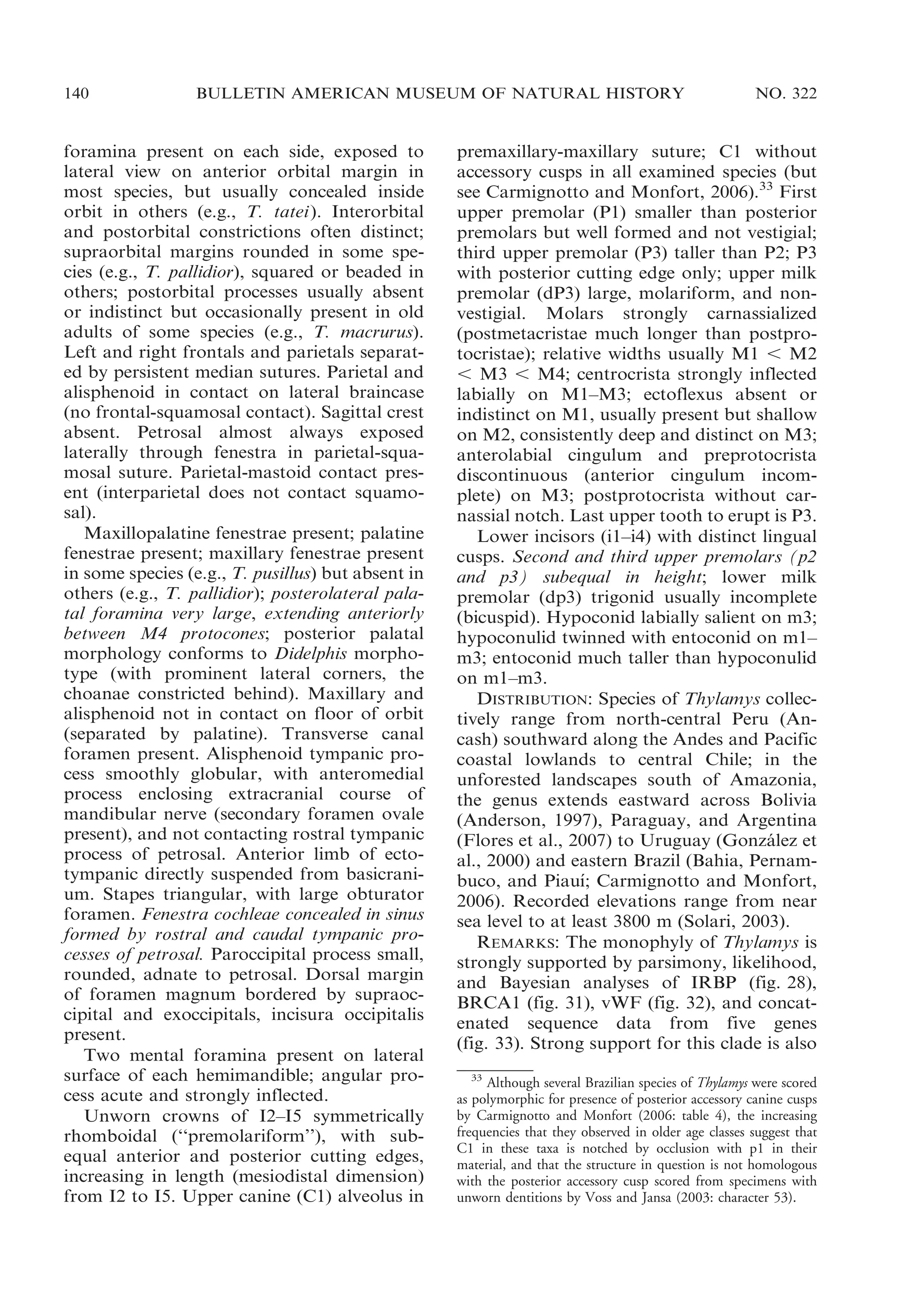 140

BULLETIN AMERICAN MUSEUM OF NATURAL HISTORY

foramina present on each side, exposed to
lateral view on anterior orbital margin in
most species, but usually concealed inside
orbit in others (e.g., T. tatei). Interorbital
and postorbital constrictions often distinct;
supraorbital margins rounded in some species (e.g., T. pallidior), squared or beaded in
others; postorbital processes usually absent
or indistinct but occasionally present in old
adults of some species (e.g., T. macrurus).
Left and right frontals and parietals separated by persistent median sutures. Parietal and
alisphenoid in contact on lateral braincase
(no frontal-squamosal contact). Sagittal crest
absent. Petrosal almost always exposed
laterally through fenestra in parietal-squamosal suture. Parietal-mastoid contact present (interparietal does not contact squamosal).
Maxillopalatine fenestrae present; palatine
fenestrae present; maxillary fenestrae present
in some species (e.g., T. pusillus) but absent in
others (e.g., T. pallidior); posterolateral palatal foramina very large, extending anteriorly
between M4 protocones; posterior palatal
morphology conforms to Didelphis morphotype (with prominent lateral corners, the
choanae constricted behind). Maxillary and
alisphenoid not in contact on floor of orbit
(separated by palatine). Transverse canal
foramen present. Alisphenoid tympanic process smoothly globular, with anteromedial
process enclosing extracranial course of
mandibular nerve (secondary foramen ovale
present), and not contacting rostral tympanic
process of petrosal. Anterior limb of ectotympanic directly suspended from basicranium. Stapes triangular, with large obturator
foramen. Fenestra cochleae concealed in sinus
formed by rostral and caudal tympanic processes of petrosal. Paroccipital process small,
rounded, adnate to petrosal. Dorsal margin
of foramen magnum bordered by supraoccipital and exoccipitals, incisura occipitalis
present.
Two mental foramina present on lateral
surface of each hemimandible; angular process acute and strongly inflected.
Unworn crowns of I2–I5 symmetrically
rhomboidal (‘‘premolariform’’), with subequal anterior and posterior cutting edges,
increasing in length (mesiodistal dimension)
from I2 to I5. Upper canine (C1) alveolus in

NO. 322

premaxillary-maxillary suture; C1 without
accessory cusps in all examined species (but
see Carmignotto and Monfort, 2006).33 First
upper premolar (P1) smaller than posterior
premolars but well formed and not vestigial;
third upper premolar (P3) taller than P2; P3
with posterior cutting edge only; upper milk
premolar (dP3) large, molariform, and nonvestigial. Molars strongly carnassialized
(postmetacristae much longer than postprotocristae); relative widths usually M1 , M2
, M3 , M4; centrocrista strongly inflected
labially on M1–M3; ectoflexus absent or
indistinct on M1, usually present but shallow
on M2, consistently deep and distinct on M3;
anterolabial cingulum and preprotocrista
discontinuous (anterior cingulum incomplete) on M3; postprotocrista without carnassial notch. Last upper tooth to erupt is P3.
Lower incisors (i1–i4) with distinct lingual
cusps. Second and third upper premolars (p2
and p3) subequal in height; lower milk
premolar (dp3) trigonid usually incomplete
(bicuspid). Hypoconid labially salient on m3;
hypoconulid twinned with entoconid on m1–
m3; entoconid much taller than hypoconulid
on m1–m3.
DISTRIBUTION: Species of Thylamys collectively range from north-central Peru (Ancash) southward along the Andes and Pacific
coastal lowlands to central Chile; in the
unforested landscapes south of Amazonia,
the genus extends eastward across Bolivia
(Anderson, 1997), Paraguay, and Argentina
(Flores et al., 2007) to Uruguay (Gonzalez et
´
al., 2000) and eastern Brazil (Bahia, Pernam´
buco, and Piauı; Carmignotto and Monfort,
2006). Recorded elevations range from near
sea level to at least 3800 m (Solari, 2003).
REMARKS: The monophyly of Thylamys is
strongly supported by parsimony, likelihood,
and Bayesian analyses of IRBP (fig. 28),
BRCA1 (fig. 31), vWF (fig. 32), and concatenated sequence data from five genes
(fig. 33). Strong support for this clade is also
33
Although several Brazilian species of Thylamys were scored
as polymorphic for presence of posterior accessory canine cusps
by Carmignotto and Monfort (2006: table 4), the increasing
frequencies that they observed in older age classes suggest that
C1 in these taxa is notched by occlusion with p1 in their
material, and that the structure in question is not homologous
with the posterior accessory cusp scored from specimens with
unworn dentitions by Voss and Jansa (2003: character 53).

 