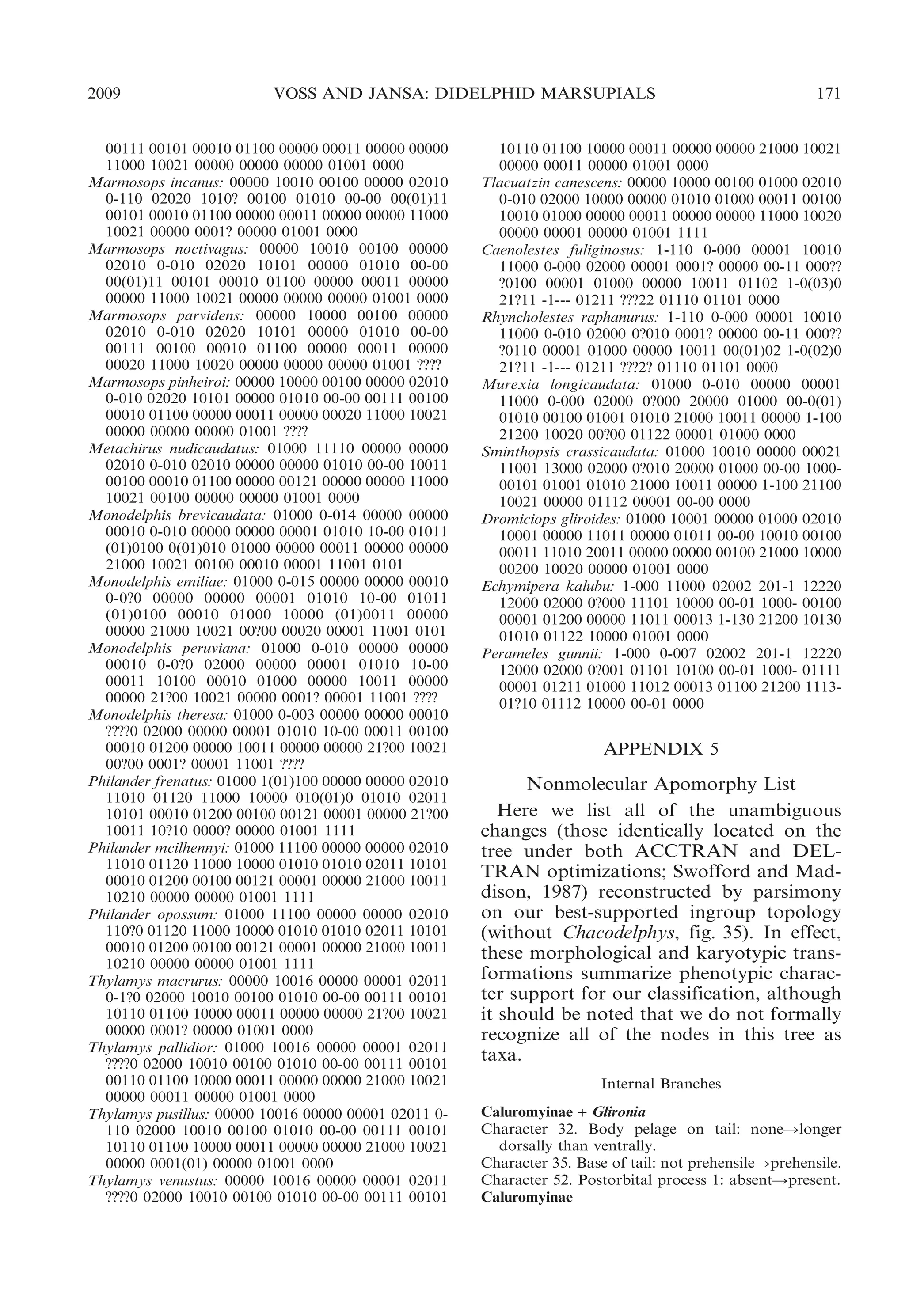 2009

VOSS AND JANSA: DIDELPHID MARSUPIALS

00111 00101 00010 01100 00000 00011 00000 00000
11000 10021 00000 00000 00000 01001 0000
Marmosops incanus: 00000 10010 00100 00000 02010
0-110 02020 1010? 00100 01010 00-00 00(01)11
00101 00010 01100 00000 00011 00000 00000 11000
10021 00000 0001? 00000 01001 0000
Marmosops noctivagus: 00000 10010 00100 00000
02010 0-010 02020 10101 00000 01010 00-00
00(01)11 00101 00010 01100 00000 00011 00000
00000 11000 10021 00000 00000 00000 01001 0000
Marmosops parvidens: 00000 10000 00100 00000
02010 0-010 02020 10101 00000 01010 00-00
00111 00100 00010 01100 00000 00011 00000
00020 11000 10020 00000 00000 00000 01001 ????
Marmosops pinheiroi: 00000 10000 00100 00000 02010
0-010 02020 10101 00000 01010 00-00 00111 00100
00010 01100 00000 00011 00000 00020 11000 10021
00000 00000 00000 01001 ????
Metachirus nudicaudatus: 01000 11110 00000 00000
02010 0-010 02010 00000 00000 01010 00-00 10011
00100 00010 01100 00000 00121 00000 00000 11000
10021 00100 00000 00000 01001 0000
Monodelphis brevicaudata: 01000 0-014 00000 00000
00010 0-010 00000 00000 00001 01010 10-00 01011
(01)0100 0(01)010 01000 00000 00011 00000 00000
21000 10021 00100 00010 00001 11001 0101
Monodelphis emiliae: 01000 0-015 00000 00000 00010
0-0?0 00000 00000 00001 01010 10-00 01011
(01)0100 00010 01000 10000 (01)0011 00000
00000 21000 10021 00?00 00020 00001 11001 0101
Monodelphis peruviana: 01000 0-010 00000 00000
00010 0-0?0 02000 00000 00001 01010 10-00
00011 10100 00010 01000 00000 10011 00000
00000 21?00 10021 00000 0001? 00001 11001 ????
Monodelphis theresa: 01000 0-003 00000 00000 00010
????0 02000 00000 00001 01010 10-00 00011 00100
00010 01200 00000 10011 00000 00000 21?00 10021
00?00 0001? 00001 11001 ????
Philander frenatus: 01000 1(01)100 00000 00000 02010
11010 01120 11000 10000 010(01)0 01010 02011
10101 00010 01200 00100 00121 00001 00000 21?00
10011 10?10 0000? 00000 01001 1111
Philander mcilhennyi: 01000 11100 00000 00000 02010
11010 01120 11000 10000 01010 01010 02011 10101
00010 01200 00100 00121 00001 00000 21000 10011
10210 00000 00000 01001 1111
Philander opossum: 01000 11100 00000 00000 02010
110?0 01120 11000 10000 01010 01010 02011 10101
00010 01200 00100 00121 00001 00000 21000 10011
10210 00000 00000 01001 1111
Thylamys macrurus: 00000 10016 00000 00001 02011
0-1?0 02000 10010 00100 01010 00-00 00111 00101
10110 01100 10000 00011 00000 00000 21?00 10021
00000 0001? 00000 01001 0000
Thylamys pallidior: 01000 10016 00000 00001 02011
????0 02000 10010 00100 01010 00-00 00111 00101
00110 01100 10000 00011 00000 00000 21000 10021
00000 00011 00000 01001 0000
Thylamys pusillus: 00000 10016 00000 00001 02011 0110 02000 10010 00100 01010 00-00 00111 00101
10110 01100 10000 00011 00000 00000 21000 10021
00000 0001(01) 00000 01001 0000
Thylamys venustus: 00000 10016 00000 00001 02011
????0 02000 10010 00100 01010 00-00 00111 00101

171

10110 01100 10000 00011 00000 00000 21000 10021
00000 00011 00000 01001 0000
Tlacuatzin canescens: 00000 10000 00100 01000 02010
0-010 02000 10000 00000 01010 01000 00011 00100
10010 01000 00000 00011 00000 00000 11000 10020
00000 00001 00000 01001 1111
Caenolestes fuliginosus: 1-110 0-000 00001 10010
11000 0-000 02000 00001 0001? 00000 00-11 000??
?0100 00001 01000 00000 10011 01102 1-0(03)0
21?11 -1--- 01211 ???22 01110 01101 0000
Rhyncholestes raphanurus: 1-110 0-000 00001 10010
11000 0-010 02000 0?010 0001? 00000 00-11 000??
?0110 00001 01000 00000 10011 00(01)02 1-0(02)0
21?11 -1--- 01211 ???2? 01110 01101 0000
Murexia longicaudata: 01000 0-010 00000 00001
11000 0-000 02000 0?000 20000 01000 00-0(01)
01010 00100 01001 01010 21000 10011 00000 1-100
21200 10020 00?00 01122 00001 01000 0000
Sminthopsis crassicaudata: 01000 10010 00000 00021
11001 13000 02000 0?010 20000 01000 00-00 100000101 01001 01010 21000 10011 00000 1-100 21100
10021 00000 01112 00001 00-00 0000
Dromiciops gliroides: 01000 10001 00000 01000 02010
10001 00000 11011 00000 01011 00-00 10010 00100
00011 11010 20011 00000 00000 00100 21000 10000
00200 10020 00000 01001 0000
Echymipera kalubu: 1-000 11000 02002 201-1 12220
12000 02000 0?000 11101 10000 00-01 1000- 00100
00001 01200 00000 11011 00013 1-130 21200 10130
01010 01122 10000 01001 0000
Perameles gunnii: 1-000 0-007 02002 201-1 12220
12000 02000 0?001 01101 10100 00-01 1000- 01111
00001 01211 01000 11012 00013 01100 21200 111301?10 01112 10000 00-01 0000

APPENDIX 5

Nonmolecular Apomorphy List
Here we list all of the unambiguous
changes (those identically located on the
tree under both ACCTRAN and DELTRAN optimizations; Swofford and Maddison, 1987) reconstructed by parsimony
on our best-supported ingroup topology
(without Chacodelphys, fig. 35). In effect,
these morphological and karyotypic transformations summarize phenotypic character support for our classification, although
it should be noted that we do not formally
recognize all of the nodes in this tree as
taxa.
Internal Branches
Caluromyinae + Glironia
Character 32. Body pelage on tail: noneRlonger
dorsally than ventrally.
Character 35. Base of tail: not prehensileRprehensile.
Character 52. Postorbital process 1: absentRpresent.
Caluromyinae

 