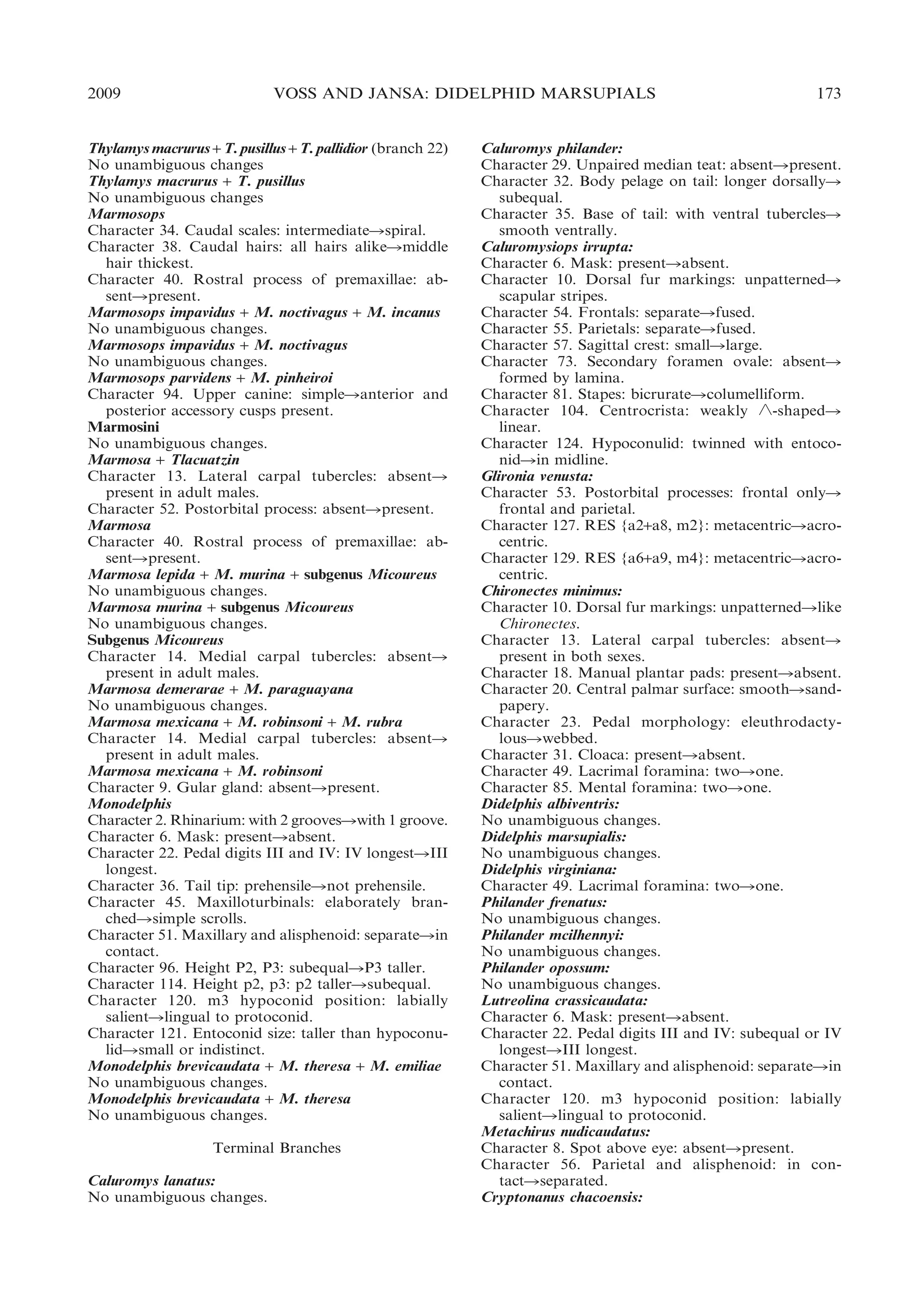 2009

VOSS AND JANSA: DIDELPHID MARSUPIALS

Thylamys macrurus + T. pusillus + T. pallidior (branch 22)
No unambiguous changes
Thylamys macrurus + T. pusillus
No unambiguous changes
Marmosops
Character 34. Caudal scales: intermediateRspiral.
Character 38. Caudal hairs: all hairs alikeRmiddle
hair thickest.
Character 40. Rostral process of premaxillae: absentRpresent.
Marmosops impavidus + M. noctivagus + M. incanus
No unambiguous changes.
Marmosops impavidus + M. noctivagus
No unambiguous changes.
Marmosops parvidens + M. pinheiroi
Character 94. Upper canine: simpleRanterior and
posterior accessory cusps present.
Marmosini
No unambiguous changes.
Marmosa + Tlacuatzin
Character 13. Lateral carpal tubercles: absentR
present in adult males.
Character 52. Postorbital process: absentRpresent.
Marmosa
Character 40. Rostral process of premaxillae: absentRpresent.
Marmosa lepida + M. murina + subgenus Micoureus
No unambiguous changes.
Marmosa murina + subgenus Micoureus
No unambiguous changes.
Subgenus Micoureus
Character 14. Medial carpal tubercles: absentR
present in adult males.
Marmosa demerarae + M. paraguayana
No unambiguous changes.
Marmosa mexicana + M. robinsoni + M. rubra
Character 14. Medial carpal tubercles: absentR
present in adult males.
Marmosa mexicana + M. robinsoni
Character 9. Gular gland: absentRpresent.
Monodelphis
Character 2. Rhinarium: with 2 groovesRwith 1 groove.
Character 6. Mask: presentRabsent.
Character 22. Pedal digits III and IV: IV longestRIII
longest.
Character 36. Tail tip: prehensileRnot prehensile.
Character 45. Maxilloturbinals: elaborately branchedRsimple scrolls.
Character 51. Maxillary and alisphenoid: separateRin
contact.
Character 96. Height P2, P3: subequalRP3 taller.
Character 114. Height p2, p3: p2 tallerRsubequal.
Character 120. m3 hypoconid position: labially
salientRlingual to protoconid.
Character 121. Entoconid size: taller than hypoconulidRsmall or indistinct.
Monodelphis brevicaudata + M. theresa + M. emiliae
No unambiguous changes.
Monodelphis brevicaudata + M. theresa
No unambiguous changes.
Terminal Branches
Caluromys lanatus:
No unambiguous changes.

173

Caluromys philander:
Character 29. Unpaired median teat: absentRpresent.
Character 32. Body pelage on tail: longer dorsallyR
subequal.
Character 35. Base of tail: with ventral tuberclesR
smooth ventrally.
Caluromysiops irrupta:
Character 6. Mask: presentRabsent.
Character 10. Dorsal fur markings: unpatternedR
scapular stripes.
Character 54. Frontals: separateRfused.
Character 55. Parietals: separateRfused.
Character 57. Sagittal crest: smallRlarge.
Character 73. Secondary foramen ovale: absentR
formed by lamina.
Character 81. Stapes: bicrurateRcolumelliform.
Character 104. Centrocrista: weakly ‘-shapedR
linear.
Character 124. Hypoconulid: twinned with entoconidRin midline.
Glironia venusta:
Character 53. Postorbital processes: frontal onlyR
frontal and parietal.
Character 127. RES {a2+a8, m2}: metacentricRacrocentric.
Character 129. RES {a6+a9, m4}: metacentricRacrocentric.
Chironectes minimus:
Character 10. Dorsal fur markings: unpatternedRlike
Chironectes.
Character 13. Lateral carpal tubercles: absentR
present in both sexes.
Character 18. Manual plantar pads: presentRabsent.
Character 20. Central palmar surface: smoothRsandpapery.
Character 23. Pedal morphology: eleuthrodactylousRwebbed.
Character 31. Cloaca: presentRabsent.
Character 49. Lacrimal foramina: twoRone.
Character 85. Mental foramina: twoRone.
Didelphis albiventris:
No unambiguous changes.
Didelphis marsupialis:
No unambiguous changes.
Didelphis virginiana:
Character 49. Lacrimal foramina: twoRone.
Philander frenatus:
No unambiguous changes.
Philander mcilhennyi:
No unambiguous changes.
Philander opossum:
No unambiguous changes.
Lutreolina crassicaudata:
Character 6. Mask: presentRabsent.
Character 22. Pedal digits III and IV: subequal or IV
longestRIII longest.
Character 51. Maxillary and alisphenoid: separateRin
contact.
Character 120. m3 hypoconid position: labially
salientRlingual to protoconid.
Metachirus nudicaudatus:
Character 8. Spot above eye: absentRpresent.
Character 56. Parietal and alisphenoid: in contactRseparated.
Cryptonanus chacoensis:

 