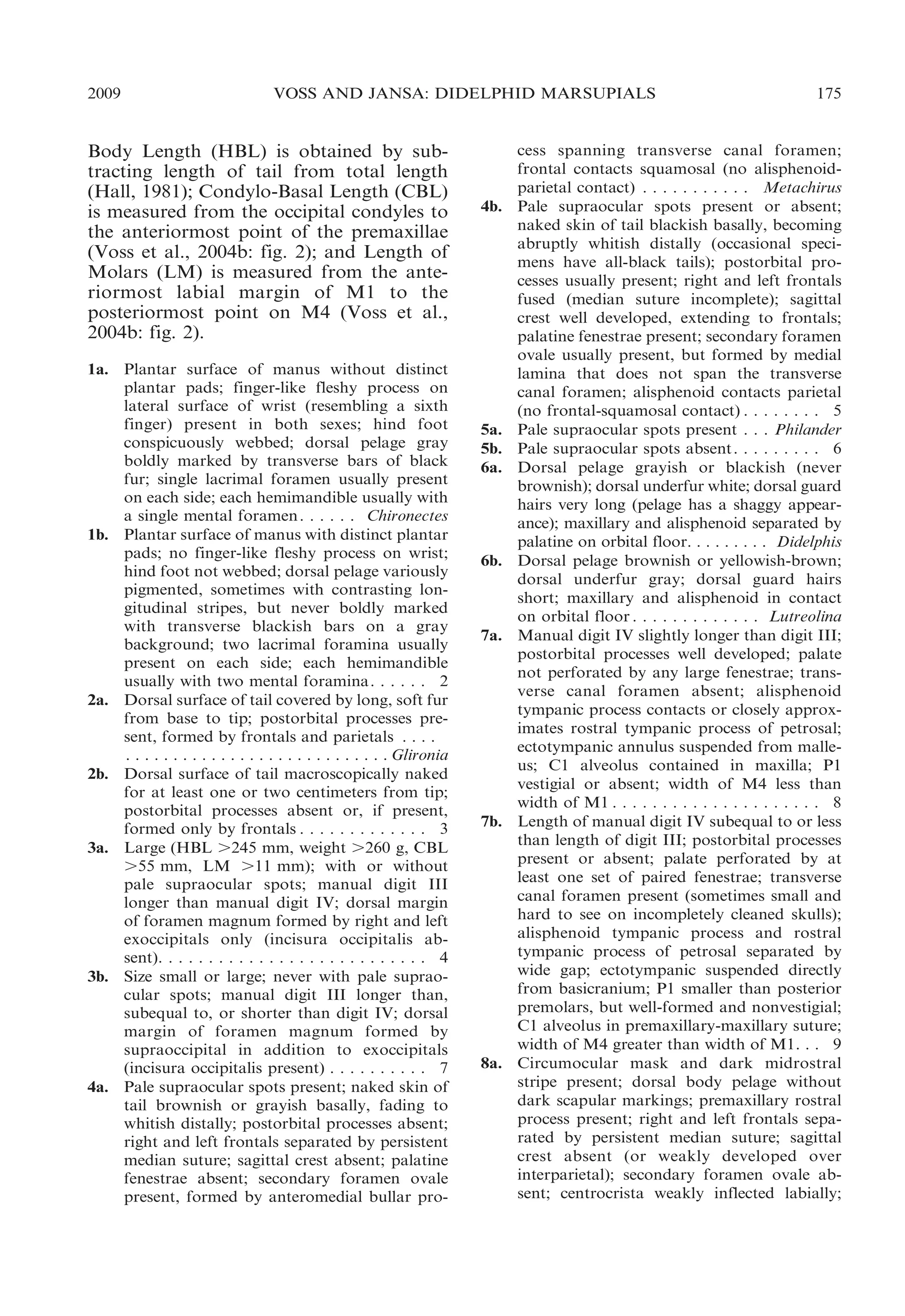 2009

VOSS AND JANSA: DIDELPHID MARSUPIALS

Body Length (HBL) is obtained by subtracting length of tail from total length
(Hall, 1981); Condylo-Basal Length (CBL)
is measured from the occipital condyles to
the anteriormost point of the premaxillae
(Voss et al., 2004b: fig. 2); and Length of
Molars (LM) is measured from the anteriormost labial margin of M1 to the
posteriormost point on M4 (Voss et al.,
2004b: fig. 2).
1a. Plantar surface of manus without distinct
plantar pads; finger-like fleshy process on
lateral surface of wrist (resembling a sixth
finger) present in both sexes; hind foot
conspicuously webbed; dorsal pelage gray
boldly marked by transverse bars of black
fur; single lacrimal foramen usually present
on each side; each hemimandible usually with
a single mental foramen . . . . . . Chironectes
1b. Plantar surface of manus with distinct plantar
pads; no finger-like fleshy process on wrist;
hind foot not webbed; dorsal pelage variously
pigmented, sometimes with contrasting longitudinal stripes, but never boldly marked
with transverse blackish bars on a gray
background; two lacrimal foramina usually
present on each side; each hemimandible
usually with two mental foramina. . . . . . 2
2a. Dorsal surface of tail covered by long, soft fur
from base to tip; postorbital processes present, formed by frontals and parietals . . . .
. . . . . . . . . . . . . . . . . . . . . . . . . . . . Glironia
2b. Dorsal surface of tail macroscopically naked
for at least one or two centimeters from tip;
postorbital processes absent or, if present,
formed only by frontals . . . . . . . . . . . . . 3
3a. Large (HBL .245 mm, weight .260 g, CBL
.55 mm, LM .11 mm); with or without
pale supraocular spots; manual digit III
longer than manual digit IV; dorsal margin
of foramen magnum formed by right and left
exoccipitals only (incisura occipitalis absent). . . . . . . . . . . . . . . . . . . . . . . . . . . 4
3b. Size small or large; never with pale supraocular spots; manual digit III longer than,
subequal to, or shorter than digit IV; dorsal
margin of foramen magnum formed by
supraoccipital in addition to exoccipitals
(incisura occipitalis present) . . . . . . . . . . 7
4a. Pale supraocular spots present; naked skin of
tail brownish or grayish basally, fading to
whitish distally; postorbital processes absent;
right and left frontals separated by persistent
median suture; sagittal crest absent; palatine
fenestrae absent; secondary foramen ovale
present, formed by anteromedial bullar pro-

4b.

5a.
5b.
6a.

6b.

7a.

7b.

8a.

175

cess spanning transverse canal foramen;
frontal contacts squamosal (no alisphenoidparietal contact) . . . . . . . . . . . Metachirus
Pale supraocular spots present or absent;
naked skin of tail blackish basally, becoming
abruptly whitish distally (occasional specimens have all-black tails); postorbital processes usually present; right and left frontals
fused (median suture incomplete); sagittal
crest well developed, extending to frontals;
palatine fenestrae present; secondary foramen
ovale usually present, but formed by medial
lamina that does not span the transverse
canal foramen; alisphenoid contacts parietal
(no frontal-squamosal contact) . . . . . . . . 5
Pale supraocular spots present . . . Philander
Pale supraocular spots absent . . . . . . . . . 6
Dorsal pelage grayish or blackish (never
brownish); dorsal underfur white; dorsal guard
hairs very long (pelage has a shaggy appearance); maxillary and alisphenoid separated by
palatine on orbital floor. . . . . . . . . Didelphis
Dorsal pelage brownish or yellowish-brown;
dorsal underfur gray; dorsal guard hairs
short; maxillary and alisphenoid in contact
on orbital floor . . . . . . . . . . . . . Lutreolina
Manual digit IV slightly longer than digit III;
postorbital processes well developed; palate
not perforated by any large fenestrae; transverse canal foramen absent; alisphenoid
tympanic process contacts or closely approximates rostral tympanic process of petrosal;
ectotympanic annulus suspended from malleus; C1 alveolus contained in maxilla; P1
vestigial or absent; width of M4 less than
width of M1 . . . . . . . . . . . . . . . . . . . . . 8
Length of manual digit IV subequal to or less
than length of digit III; postorbital processes
present or absent; palate perforated by at
least one set of paired fenestrae; transverse
canal foramen present (sometimes small and
hard to see on incompletely cleaned skulls);
alisphenoid tympanic process and rostral
tympanic process of petrosal separated by
wide gap; ectotympanic suspended directly
from basicranium; P1 smaller than posterior
premolars, but well-formed and nonvestigial;
C1 alveolus in premaxillary-maxillary suture;
width of M4 greater than width of M1. . . 9
Circumocular mask and dark midrostral
stripe present; dorsal body pelage without
dark scapular markings; premaxillary rostral
process present; right and left frontals separated by persistent median suture; sagittal
crest absent (or weakly developed over
interparietal); secondary foramen ovale absent; centrocrista weakly inflected labially;

 